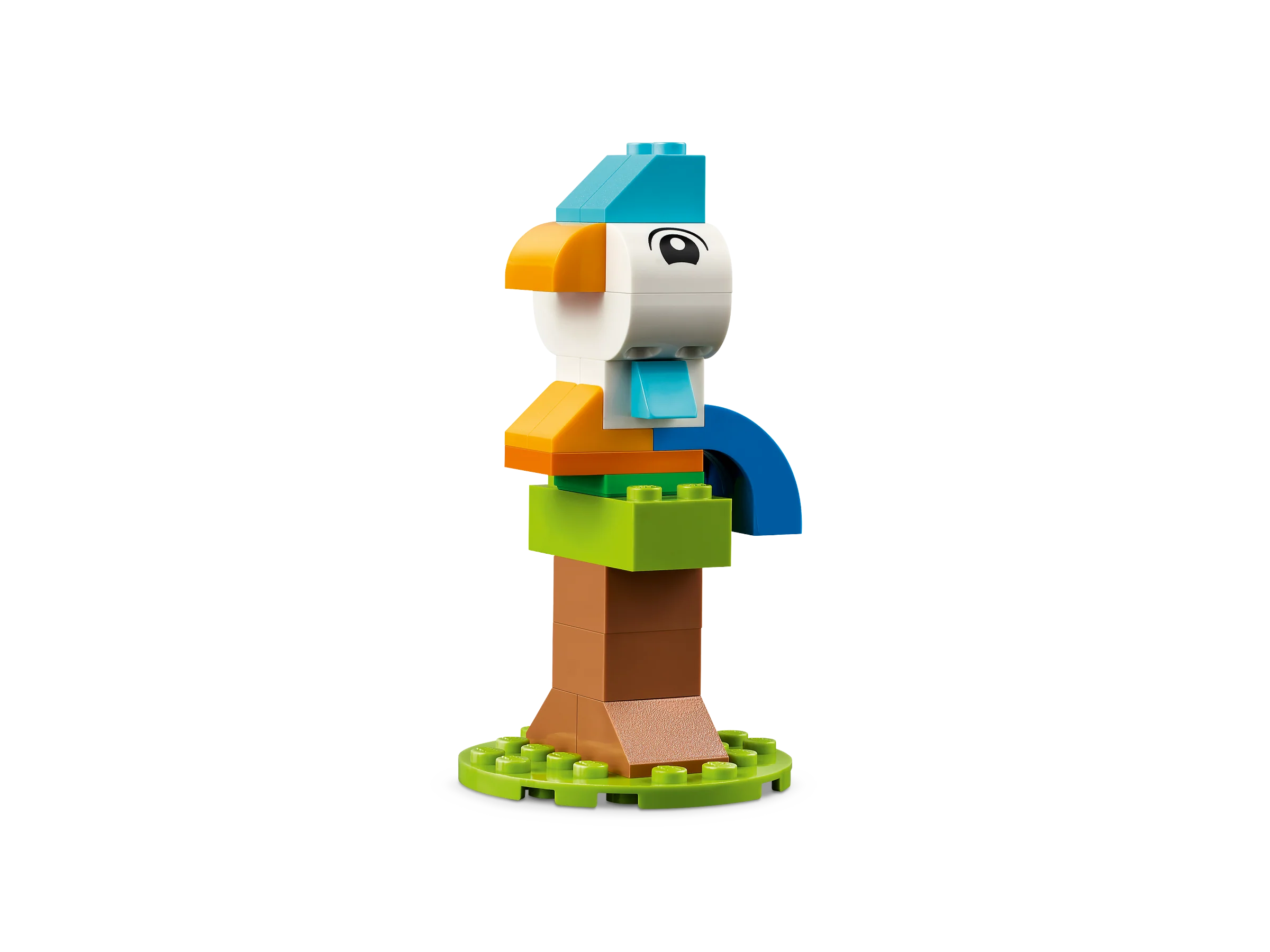 Creative Pets - Image 4