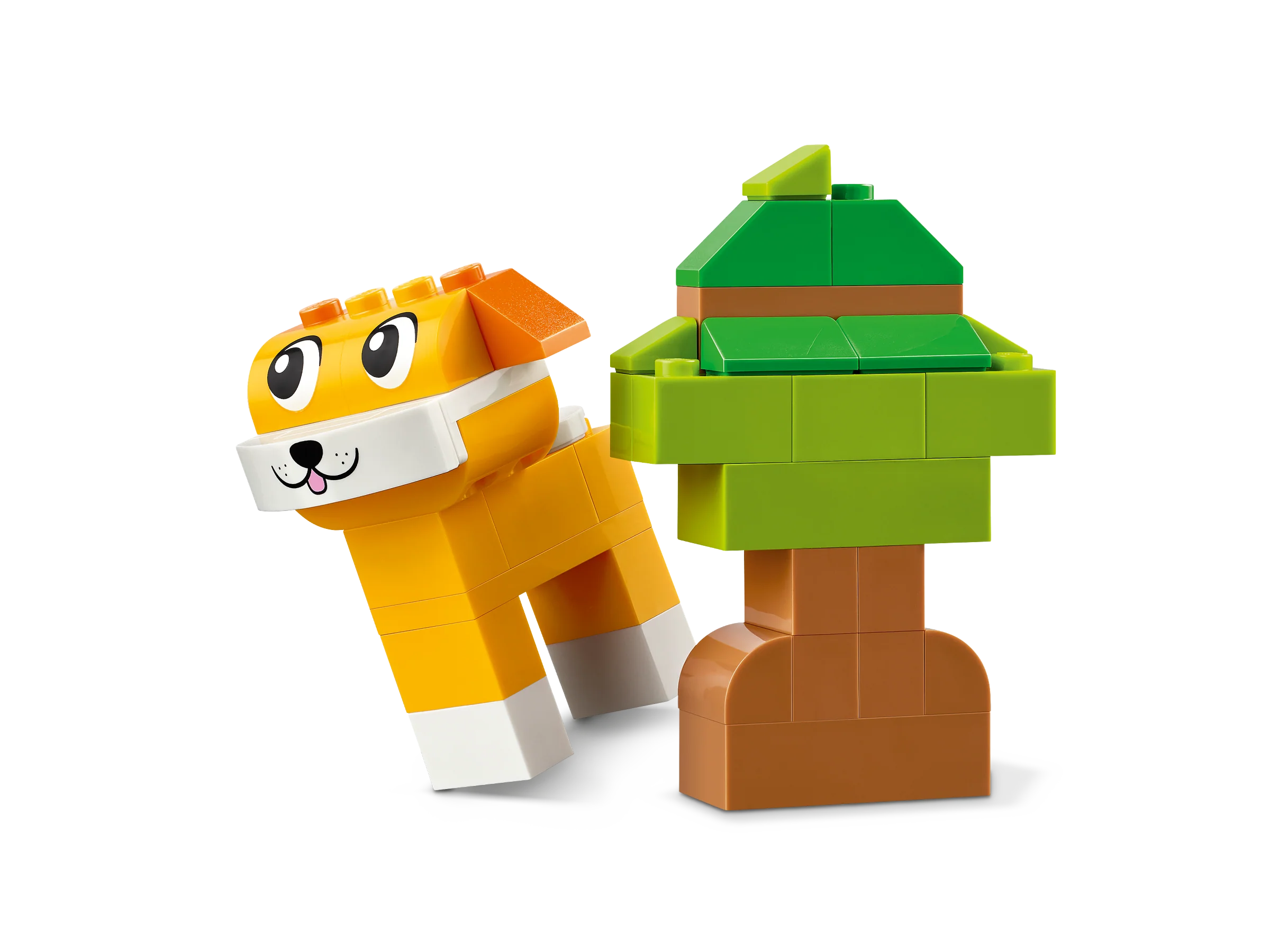 Creative Pets - Image 6