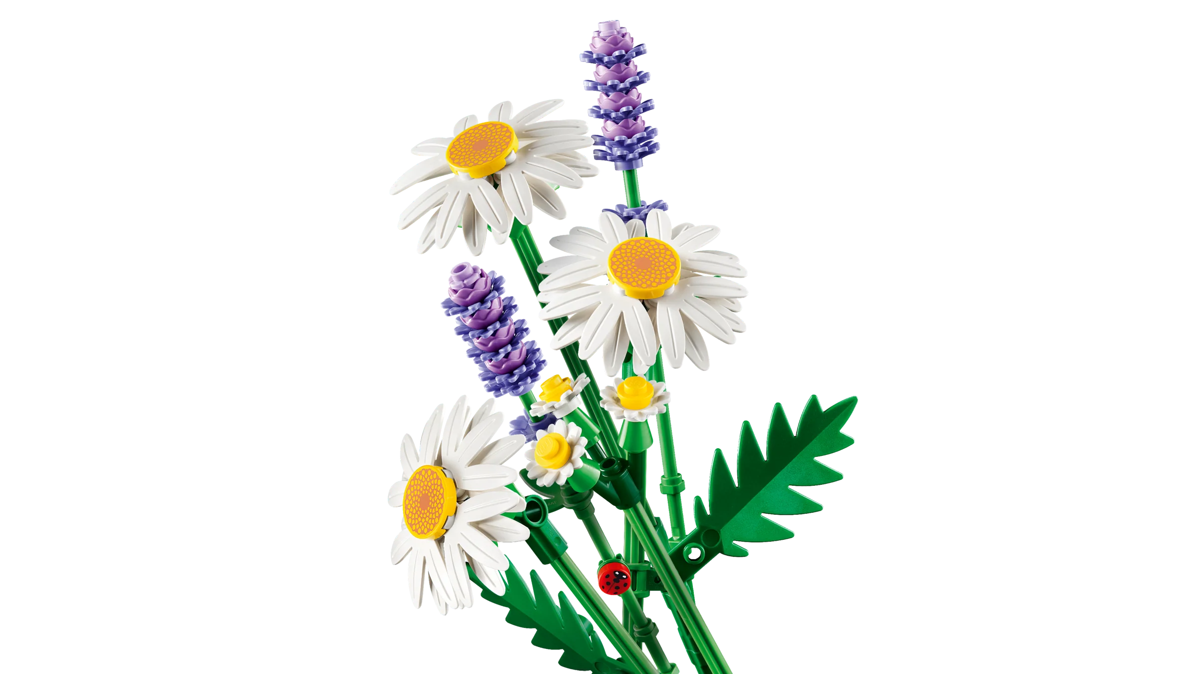 Daisies - Image 3