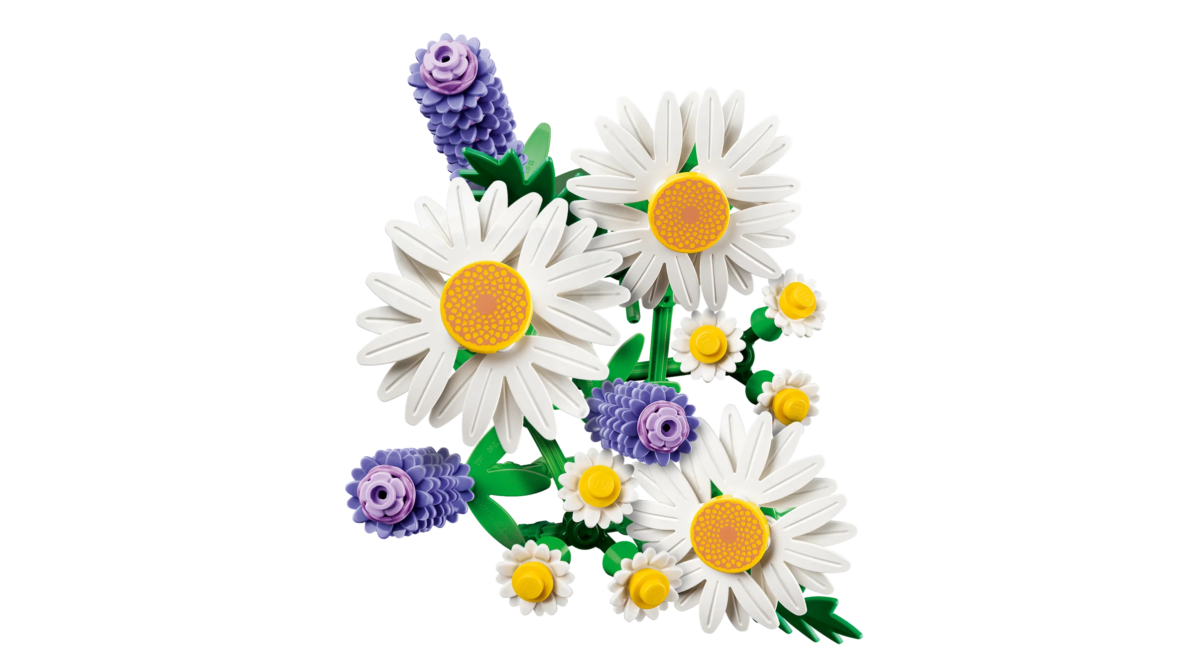 Daisies - Image 4