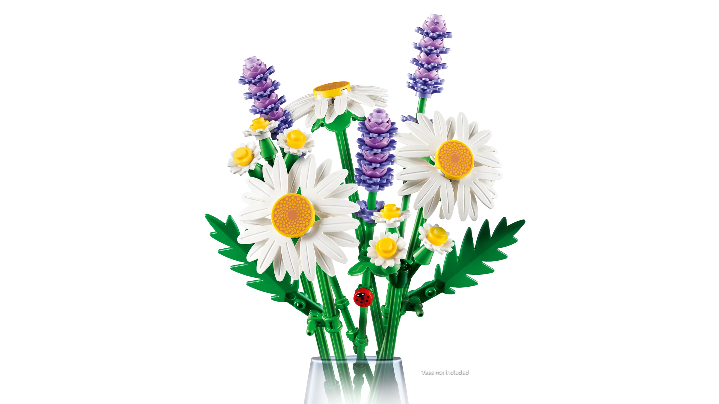 Daisies - Image 5