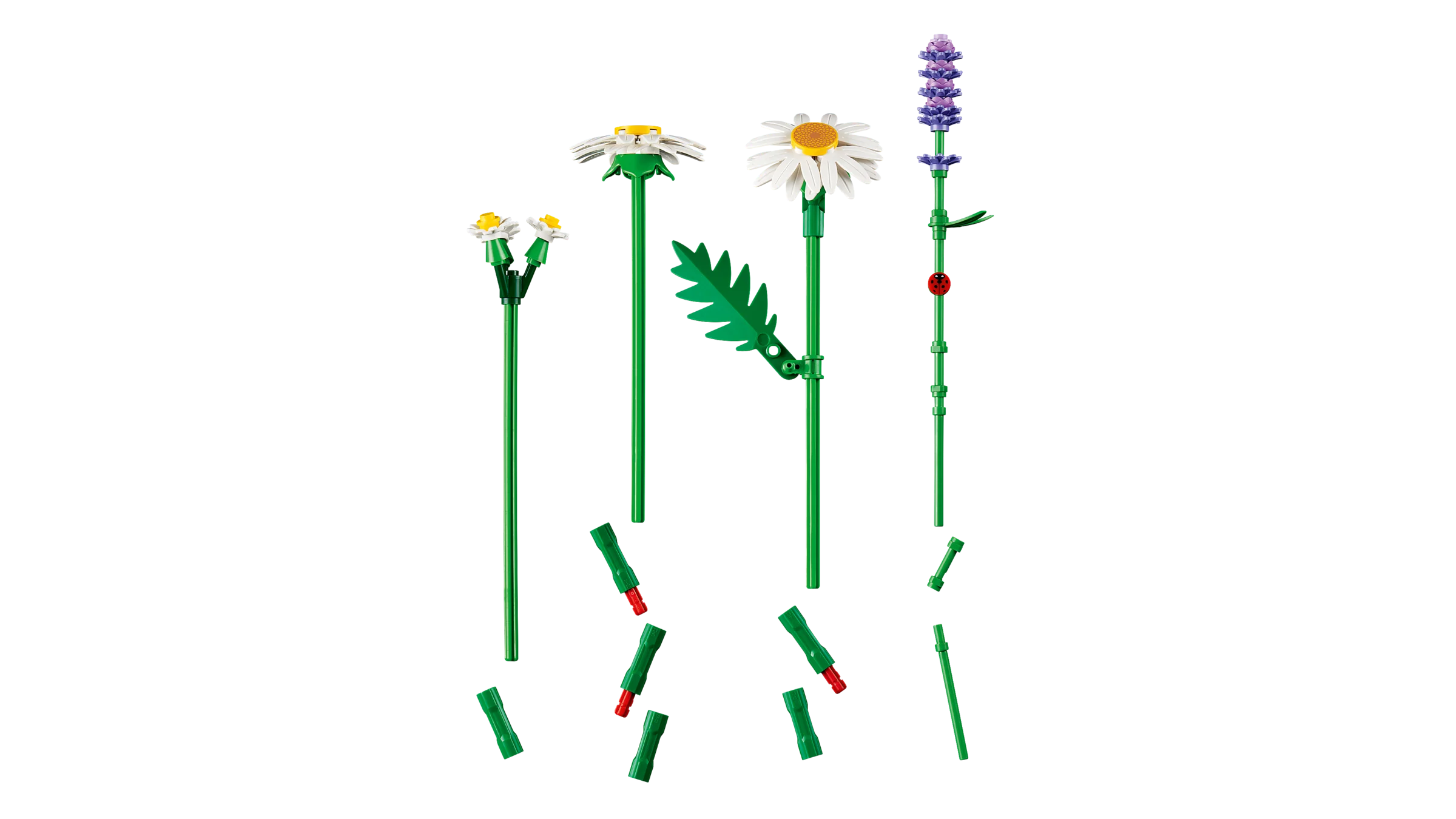 Daisies - Image 6