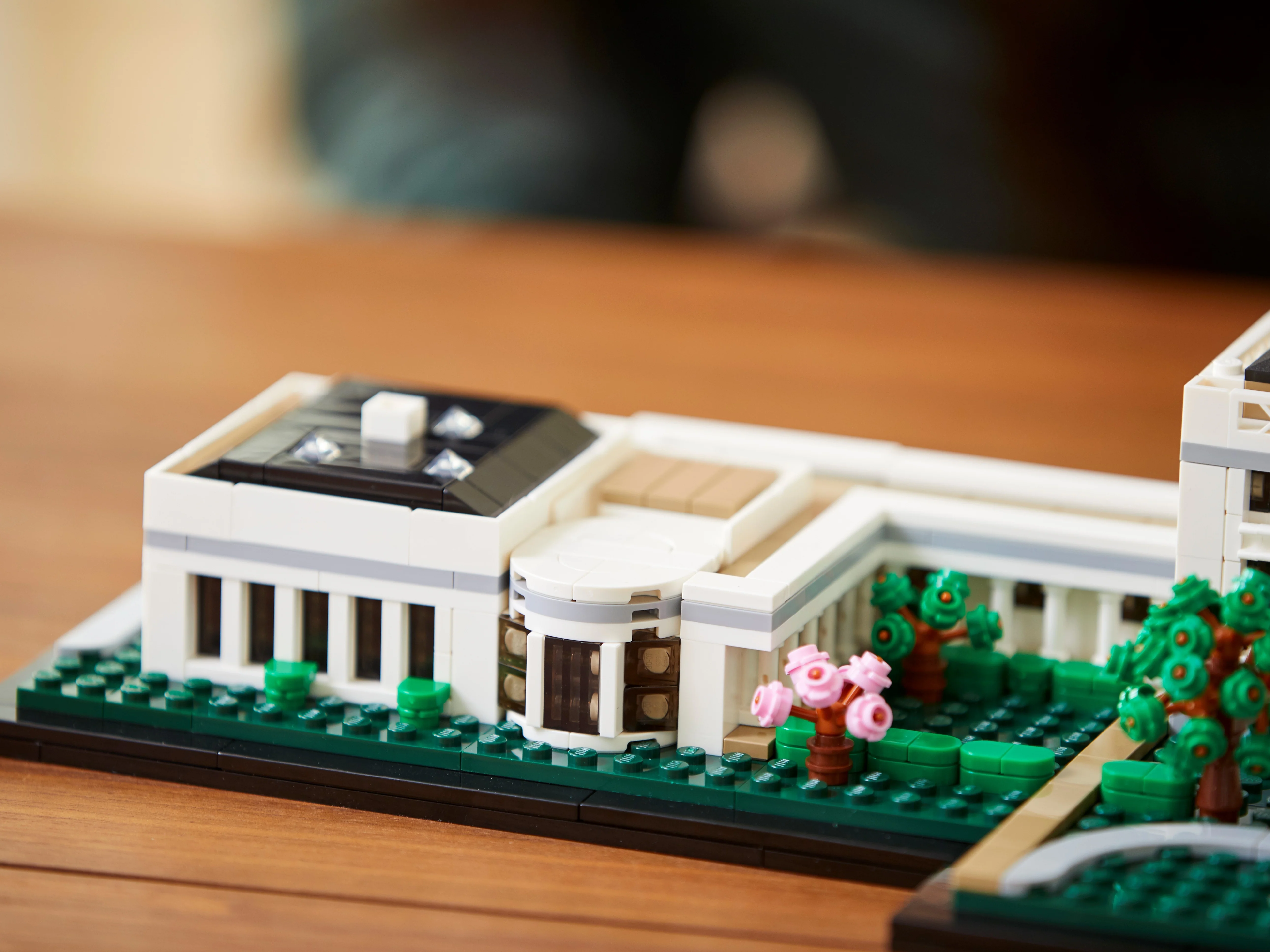 The White House - Image 10