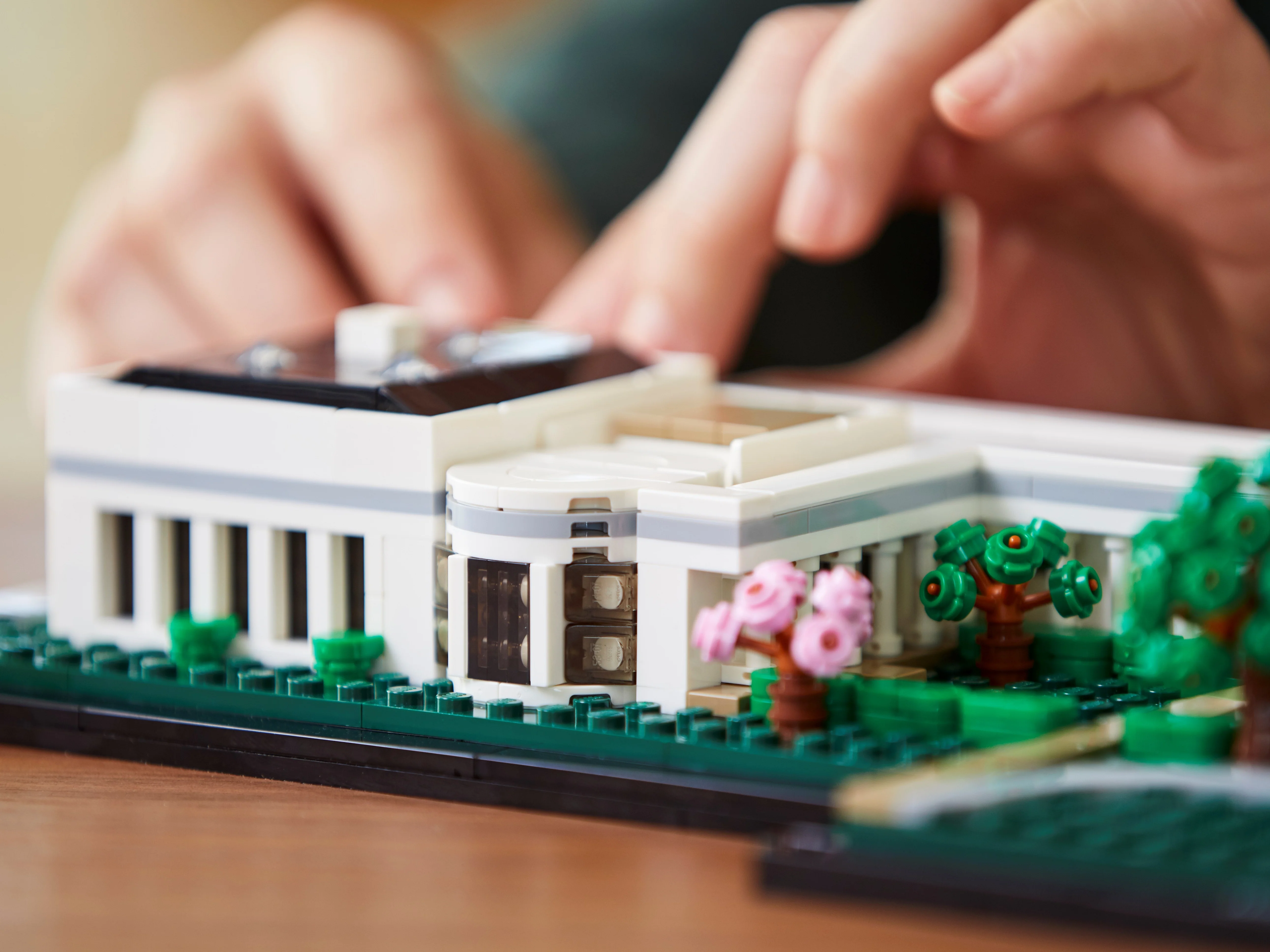 The White House - Image 9