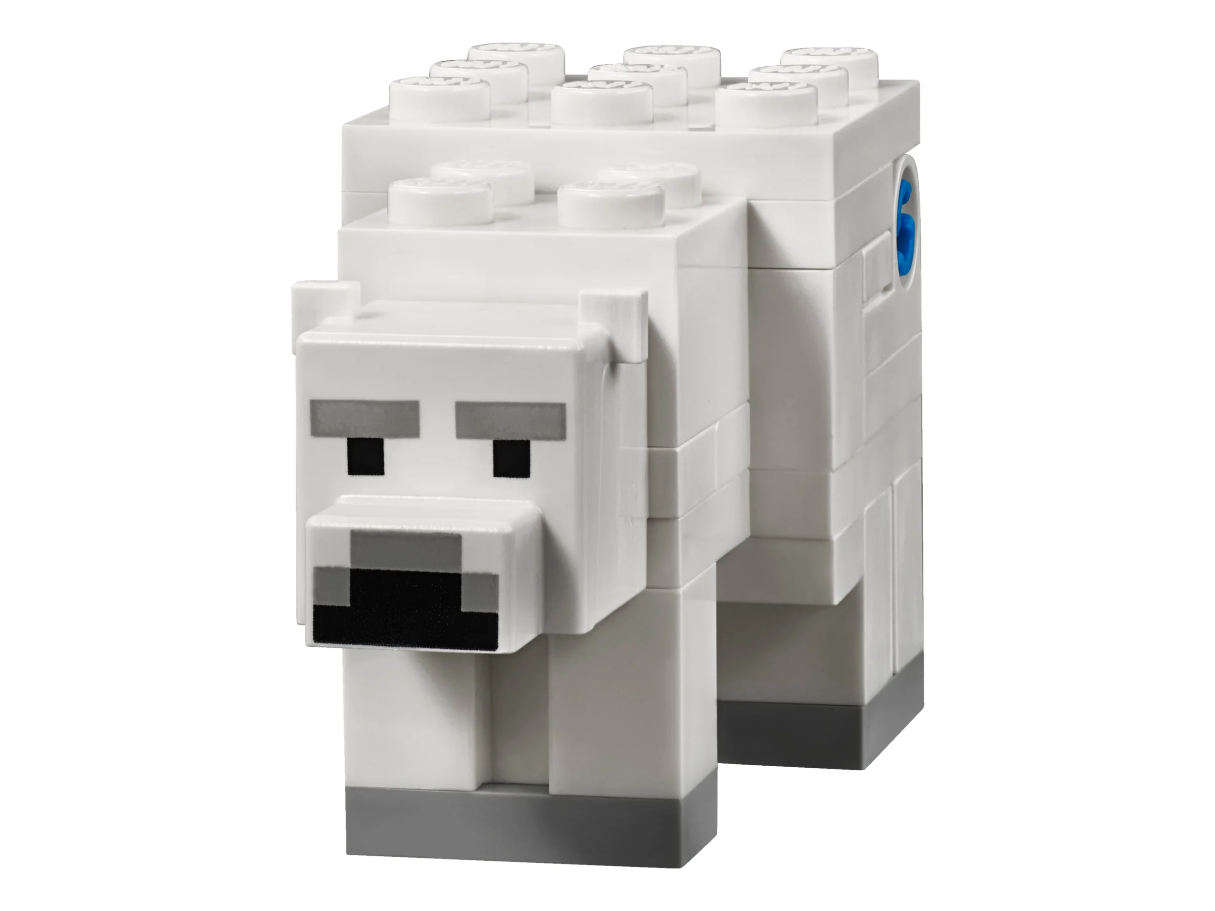 The Polar Igloo - Image 9