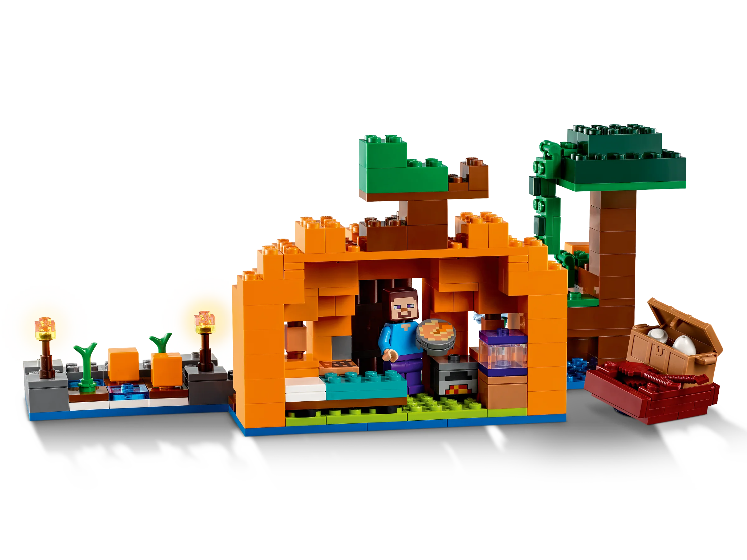The Pumpkin Farm - Image 3