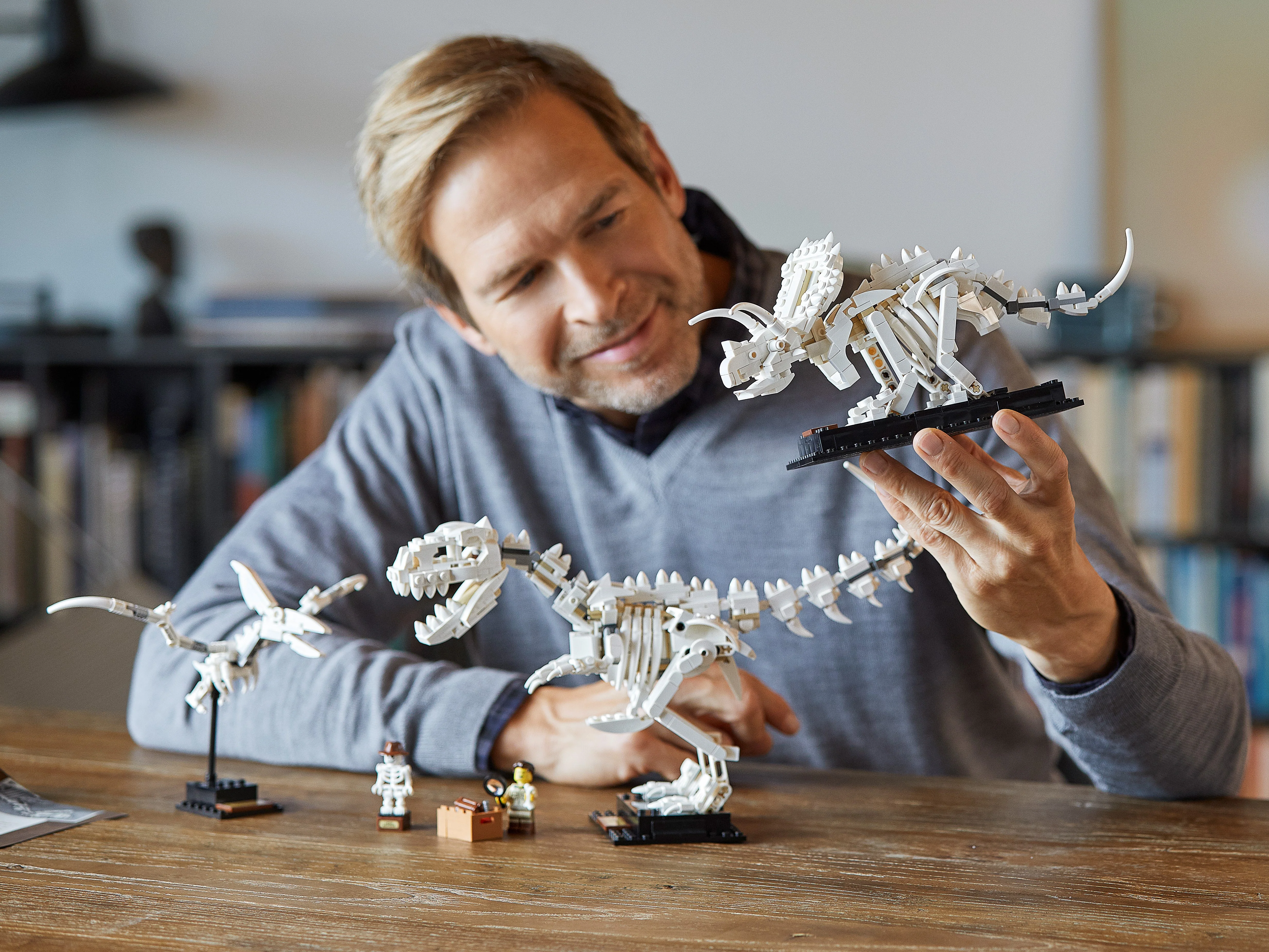 Dinosaur Fossils - Image 25