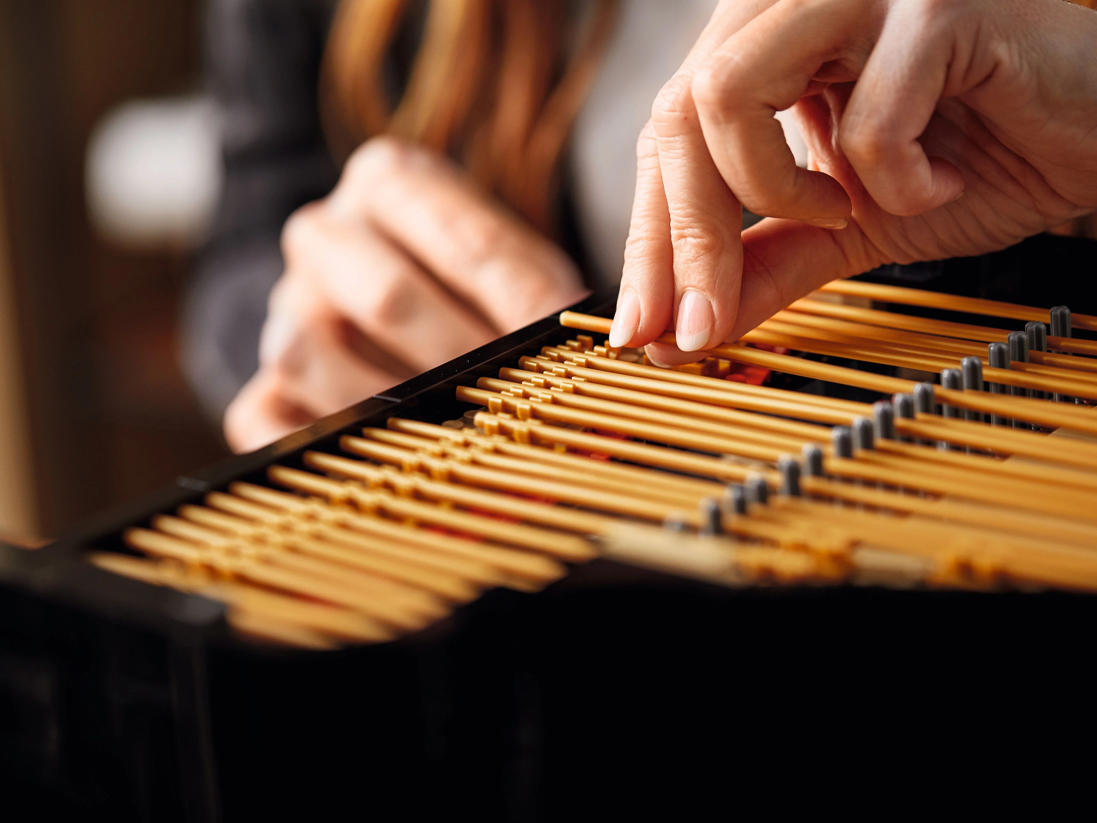 Grand Piano - Image 20