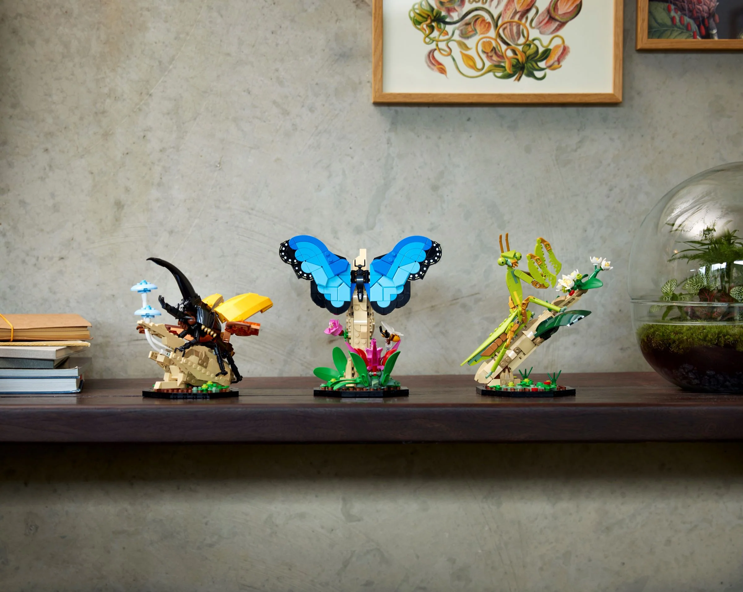 The Insect Collection - Image 10