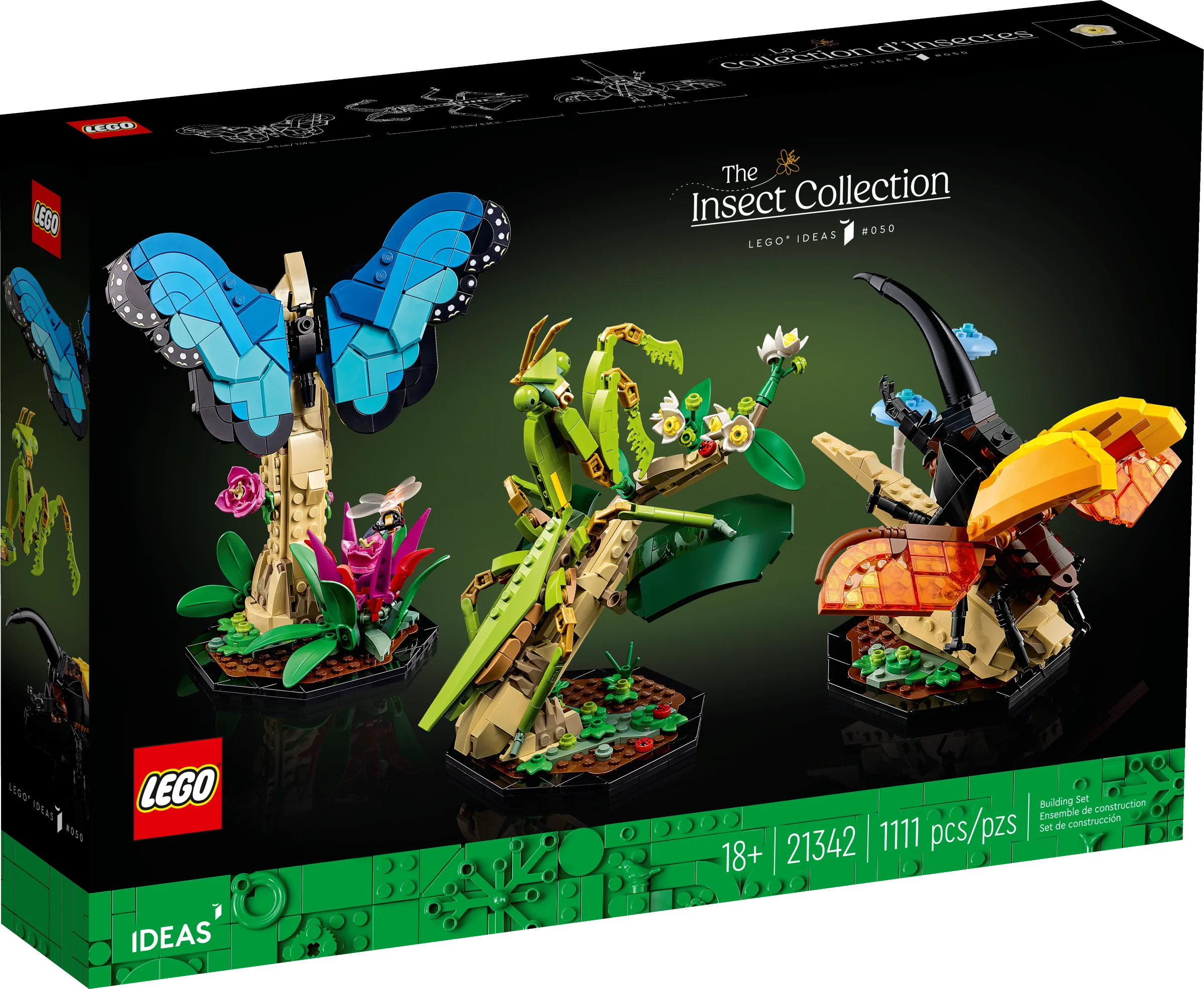 The Insect Collection - Image 2