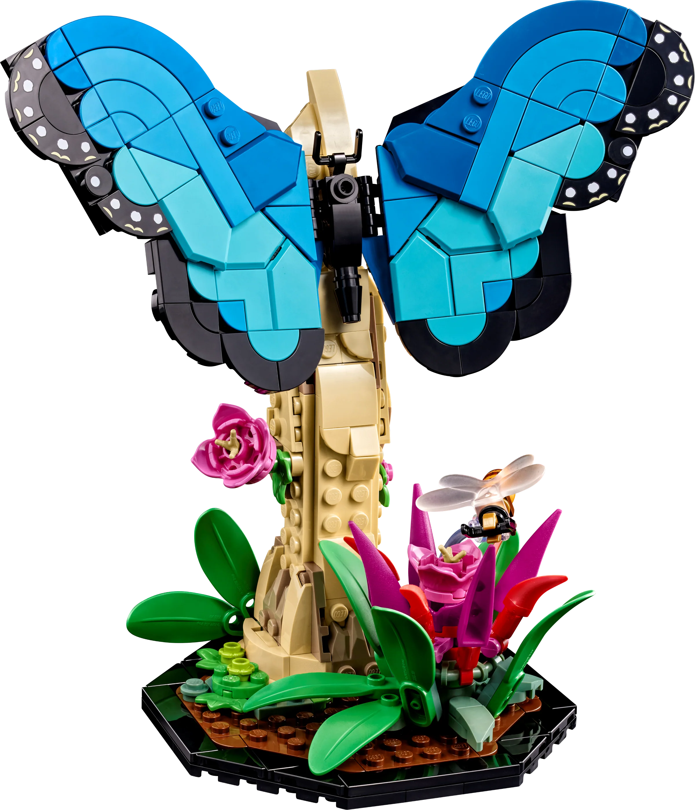 The Insect Collection - Image 3