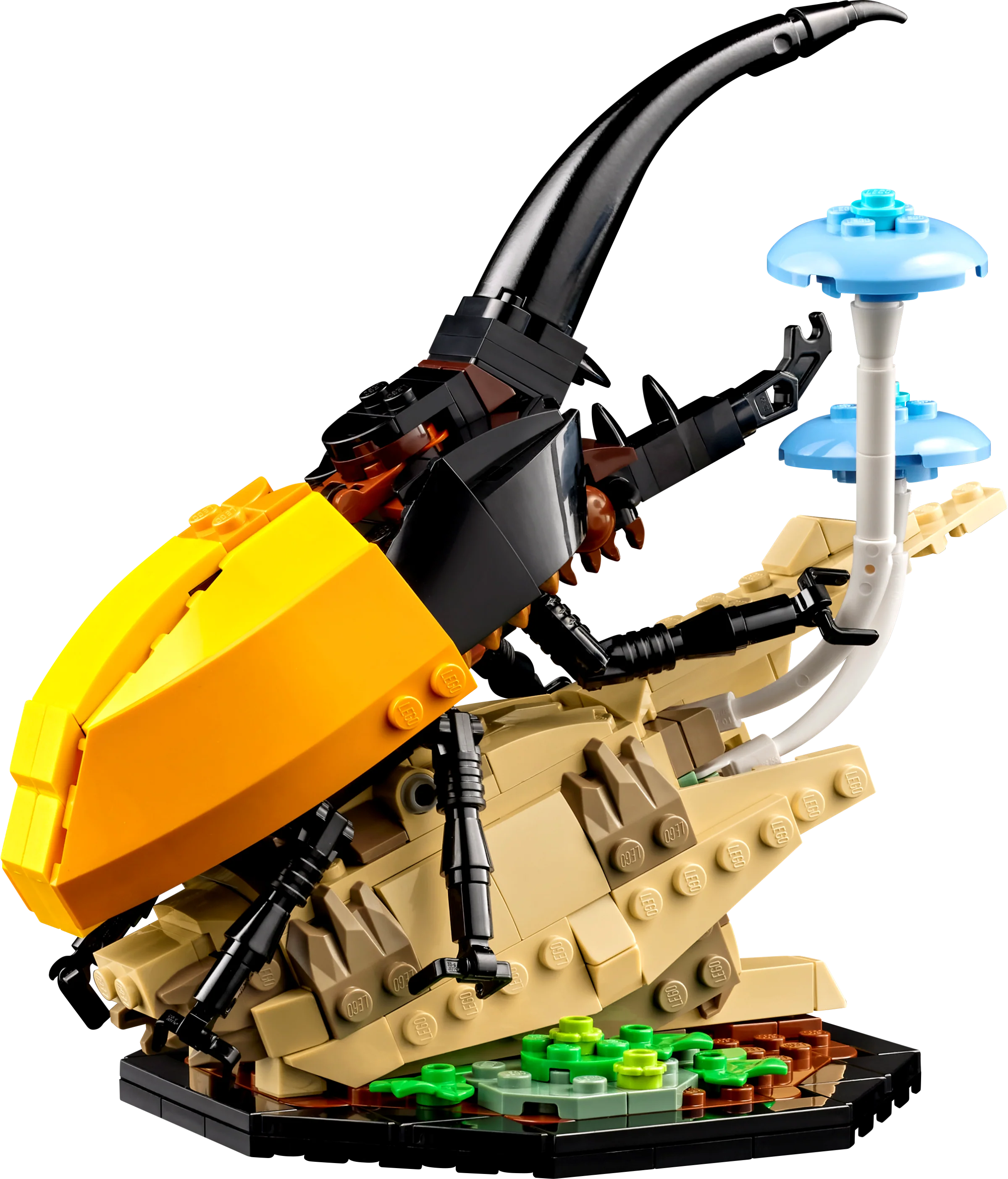 The Insect Collection - Image 5