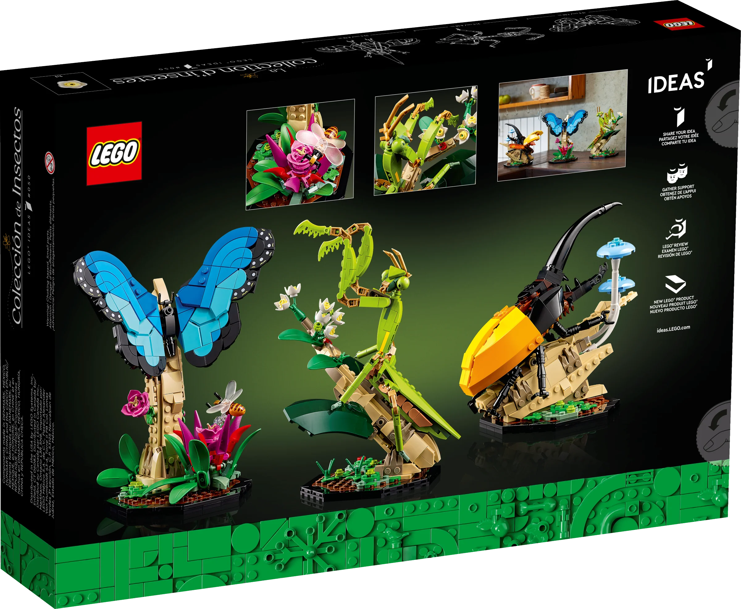 The Insect Collection - Image 7