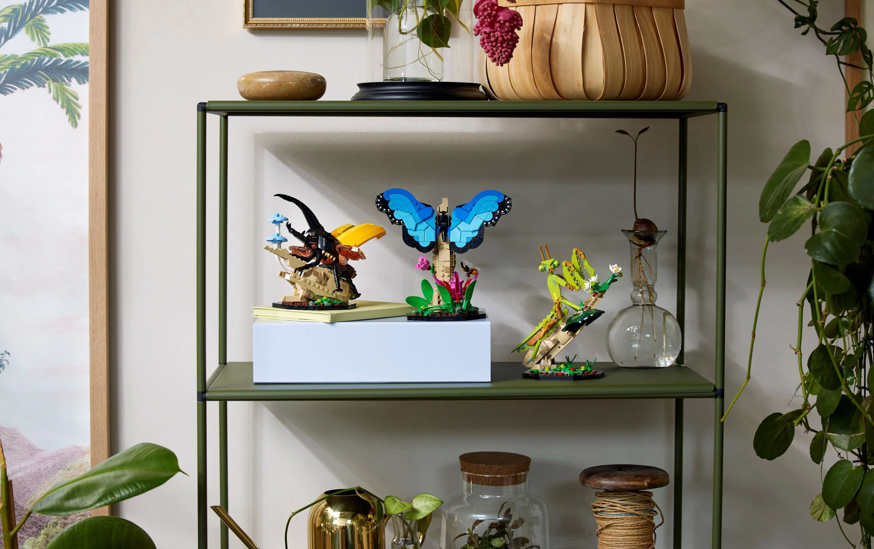 The Insect Collection - Image 9