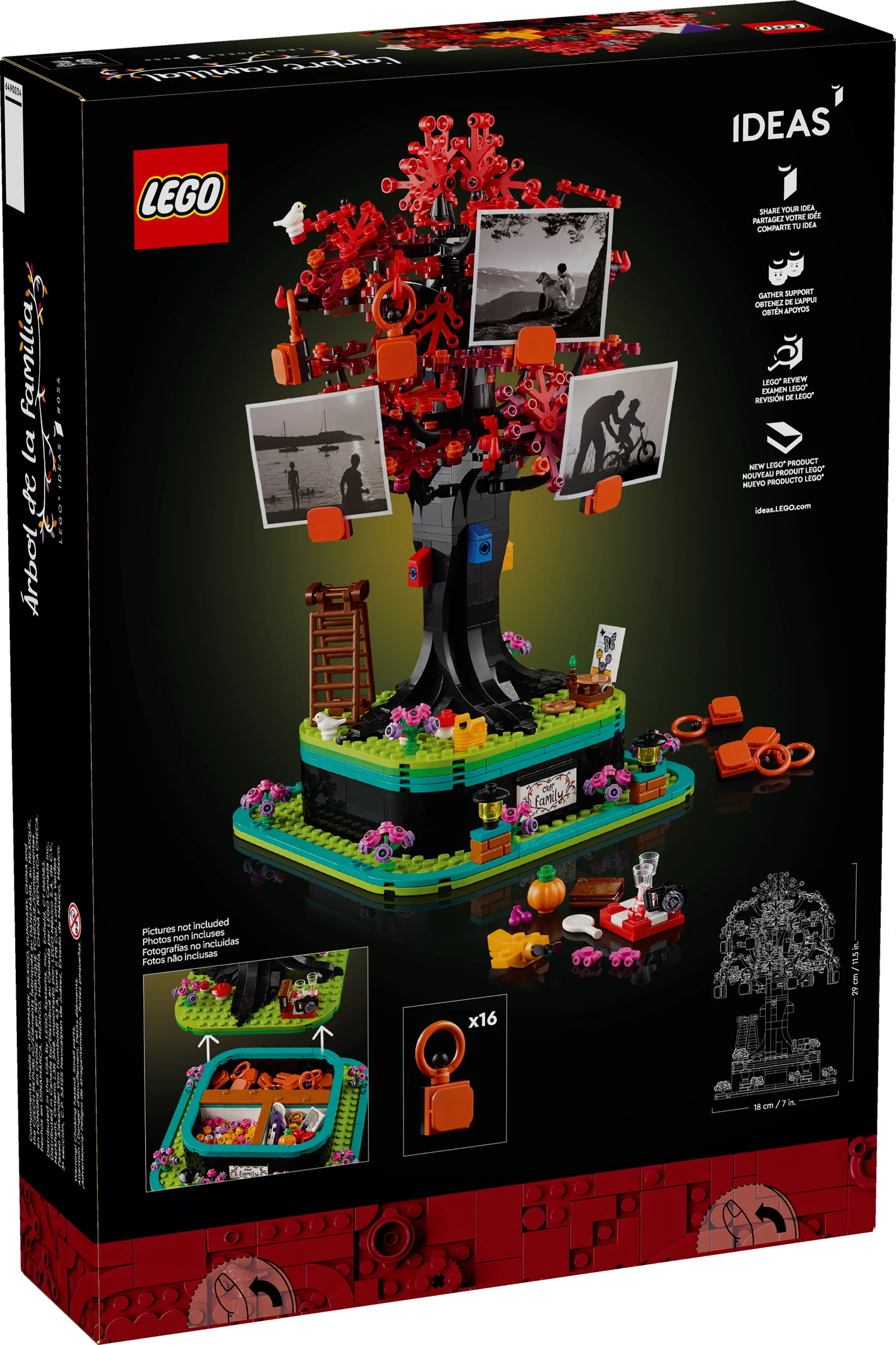 Family Tree - Image 6