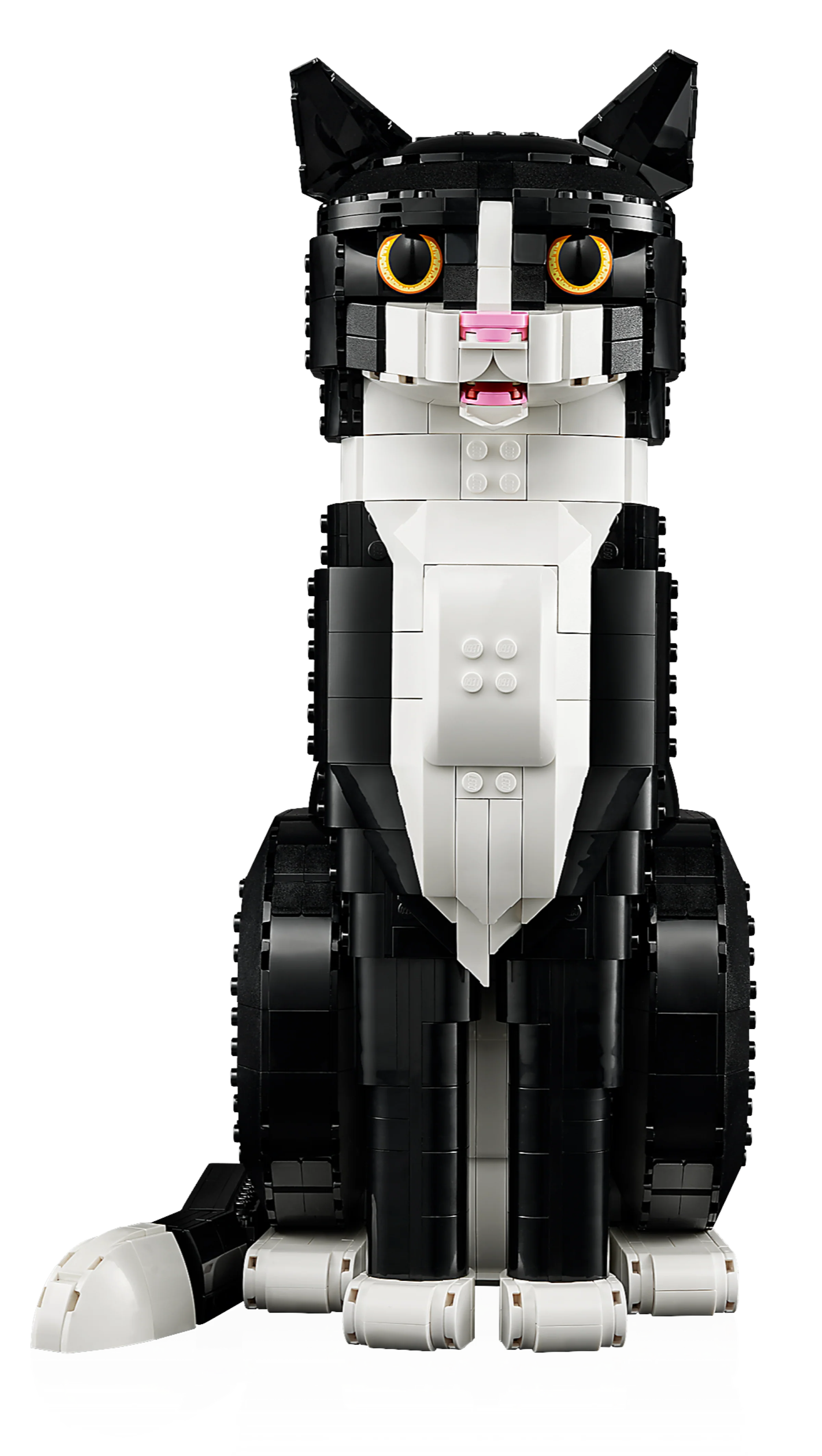 Tuxedo Cat - Image 3
