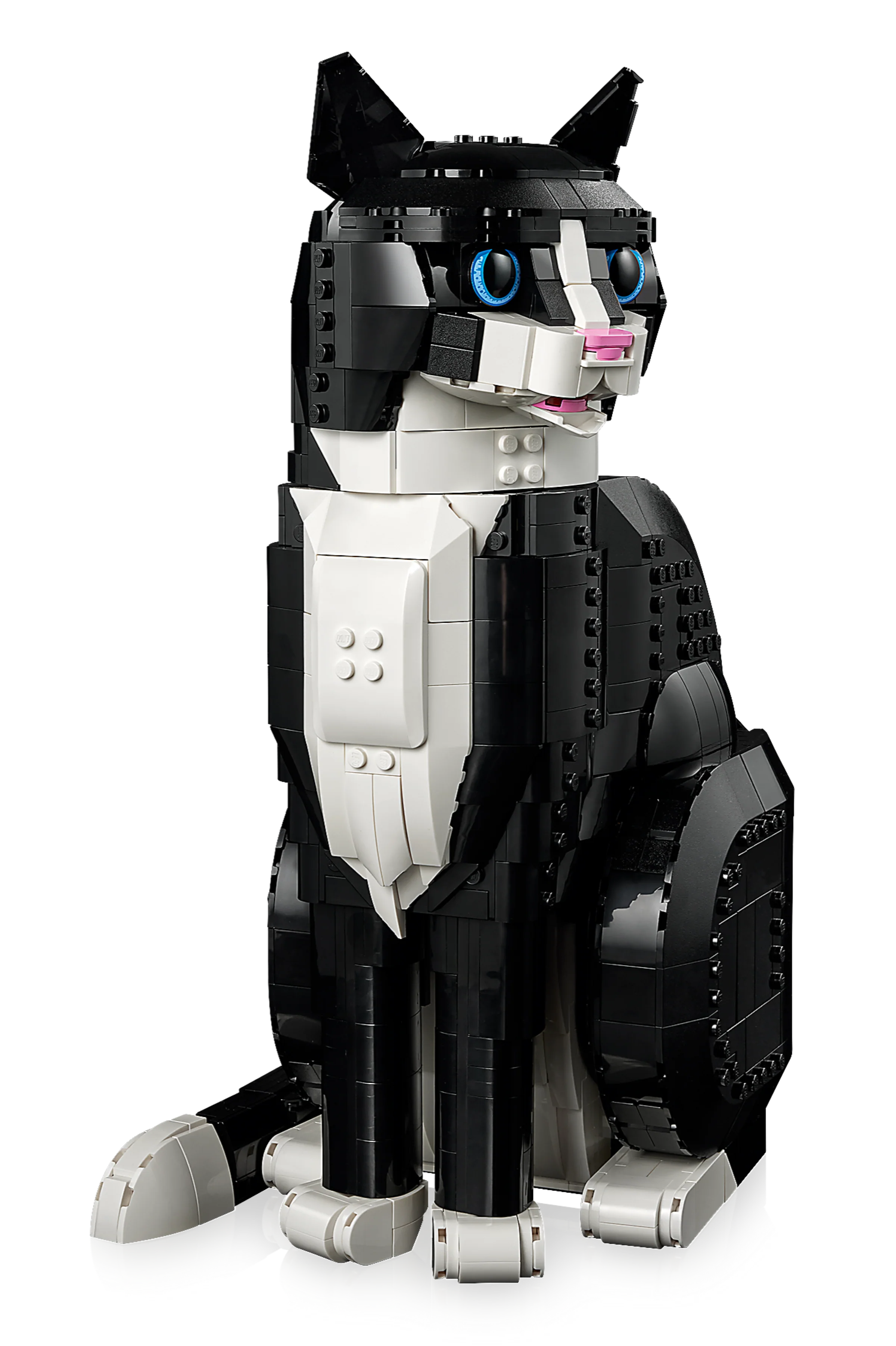 Tuxedo Cat - Image 4