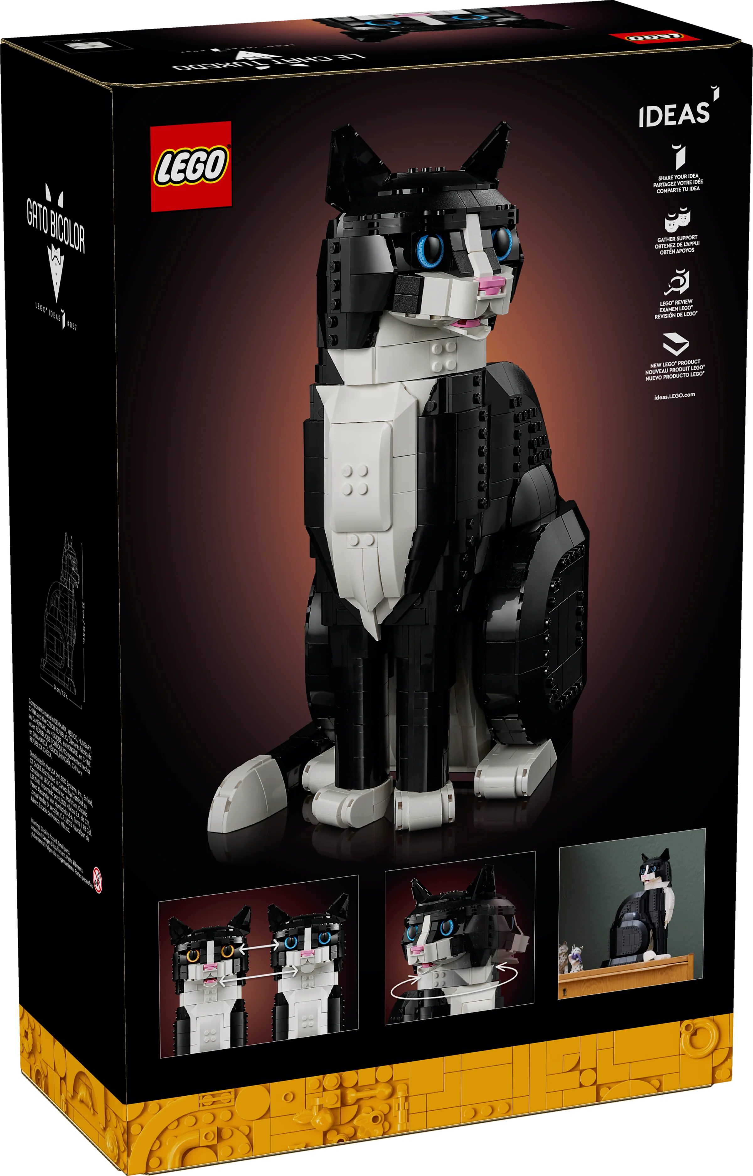 Tuxedo Cat - Image 5