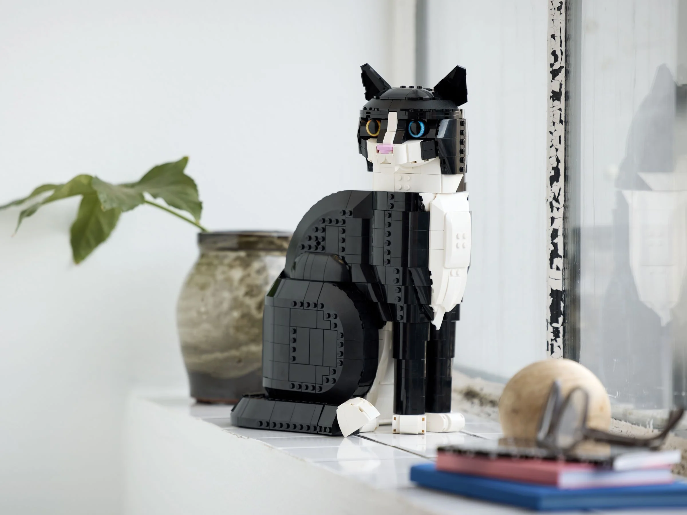 Tuxedo Cat - Image 9
