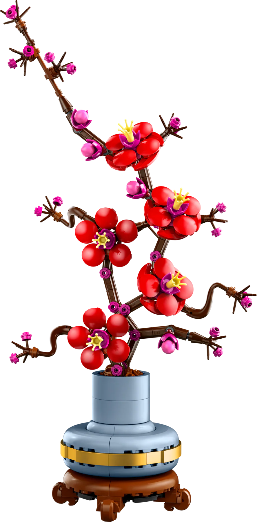 The Botanical Garden - Image 20