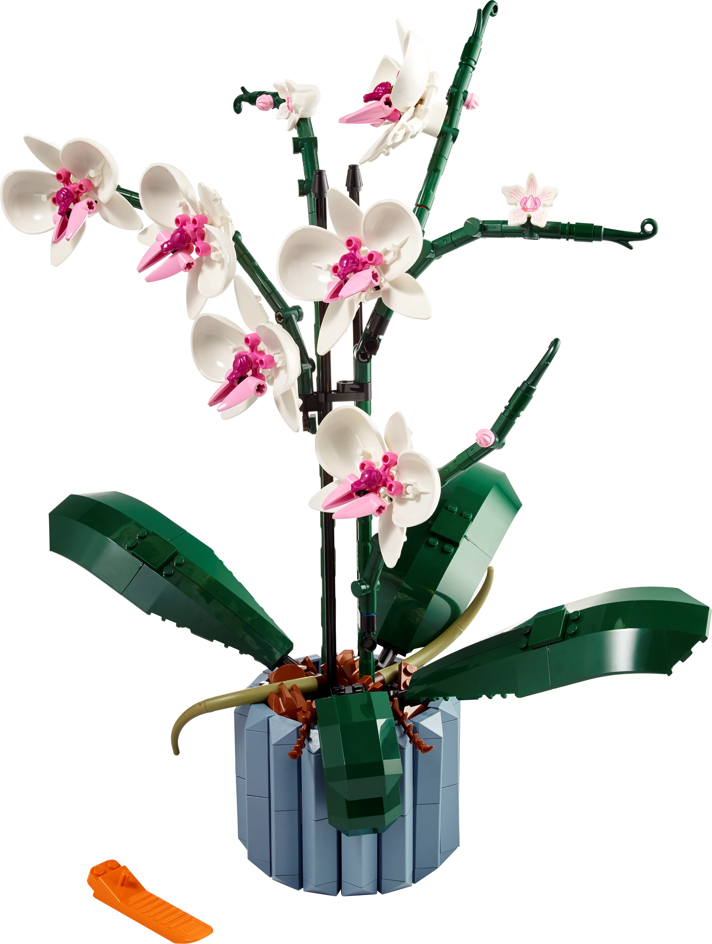 The Botanical Garden - Image 23