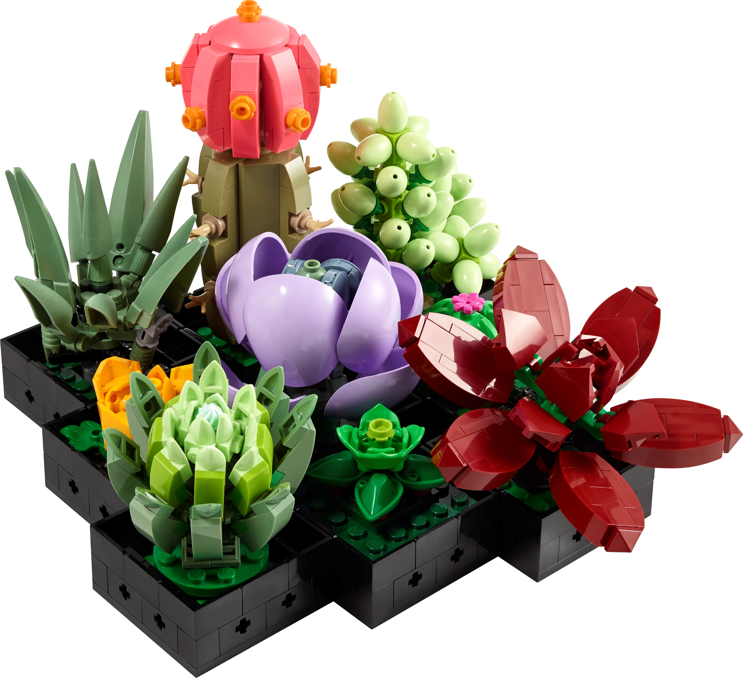 The Botanical Garden - Image 26