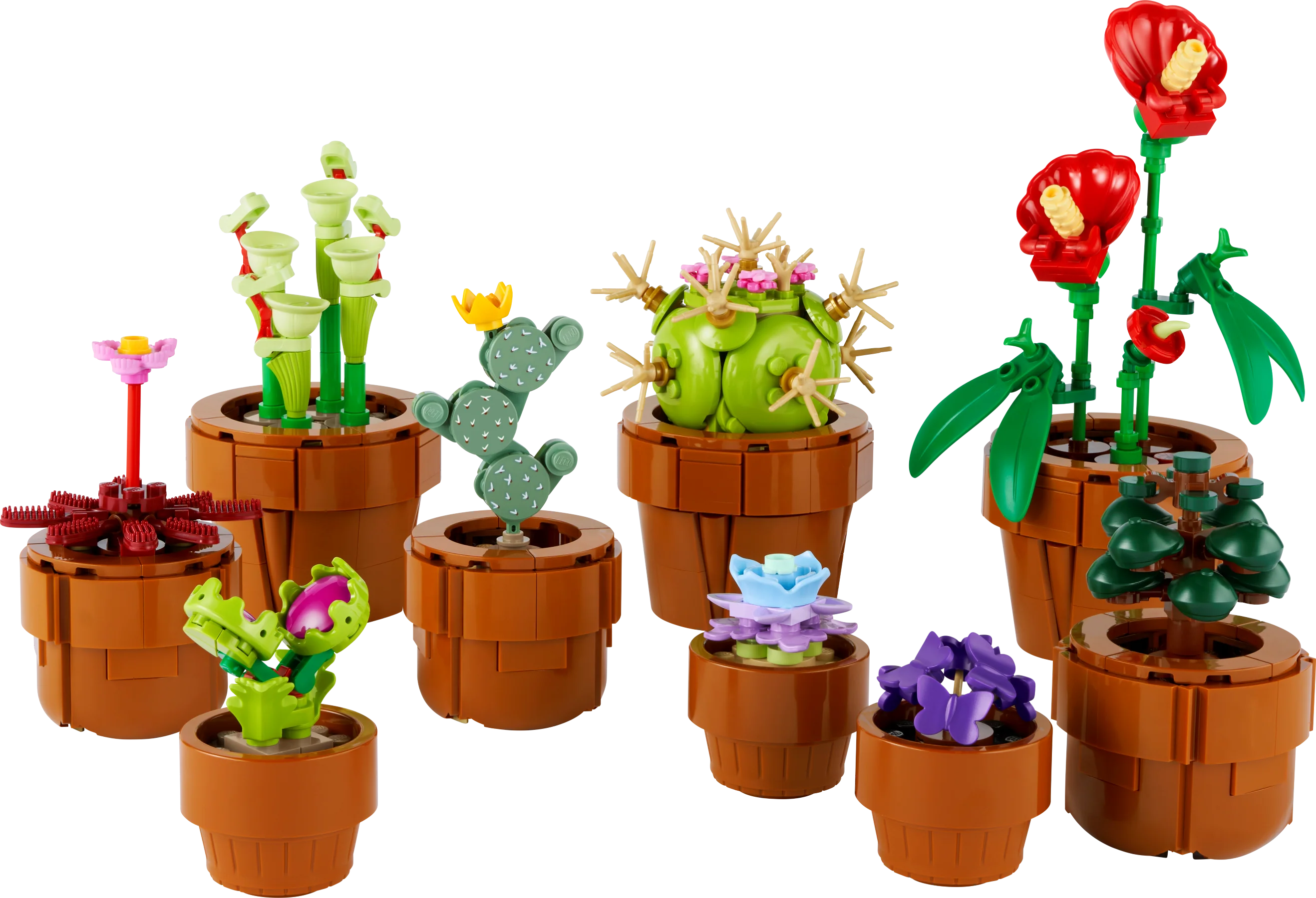 The Botanical Garden - Image 27