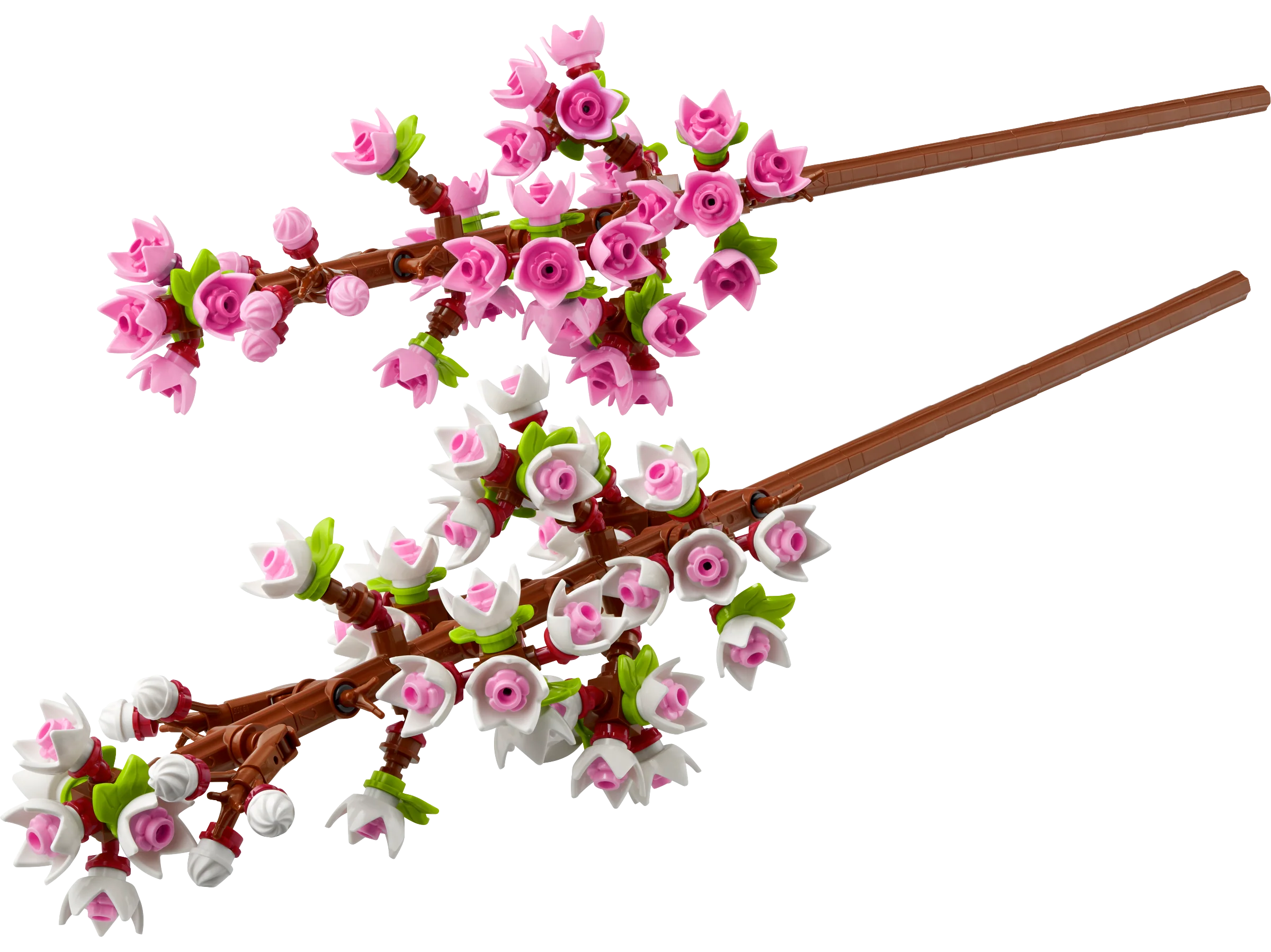The Botanical Garden - Image 31