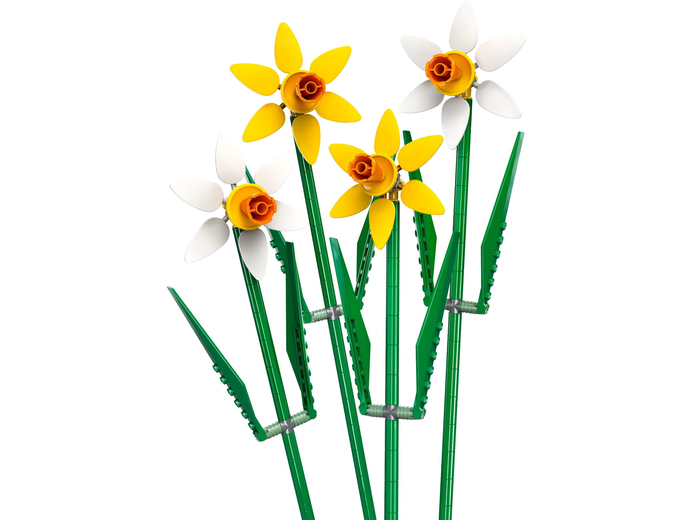 The Botanical Garden - Image 35