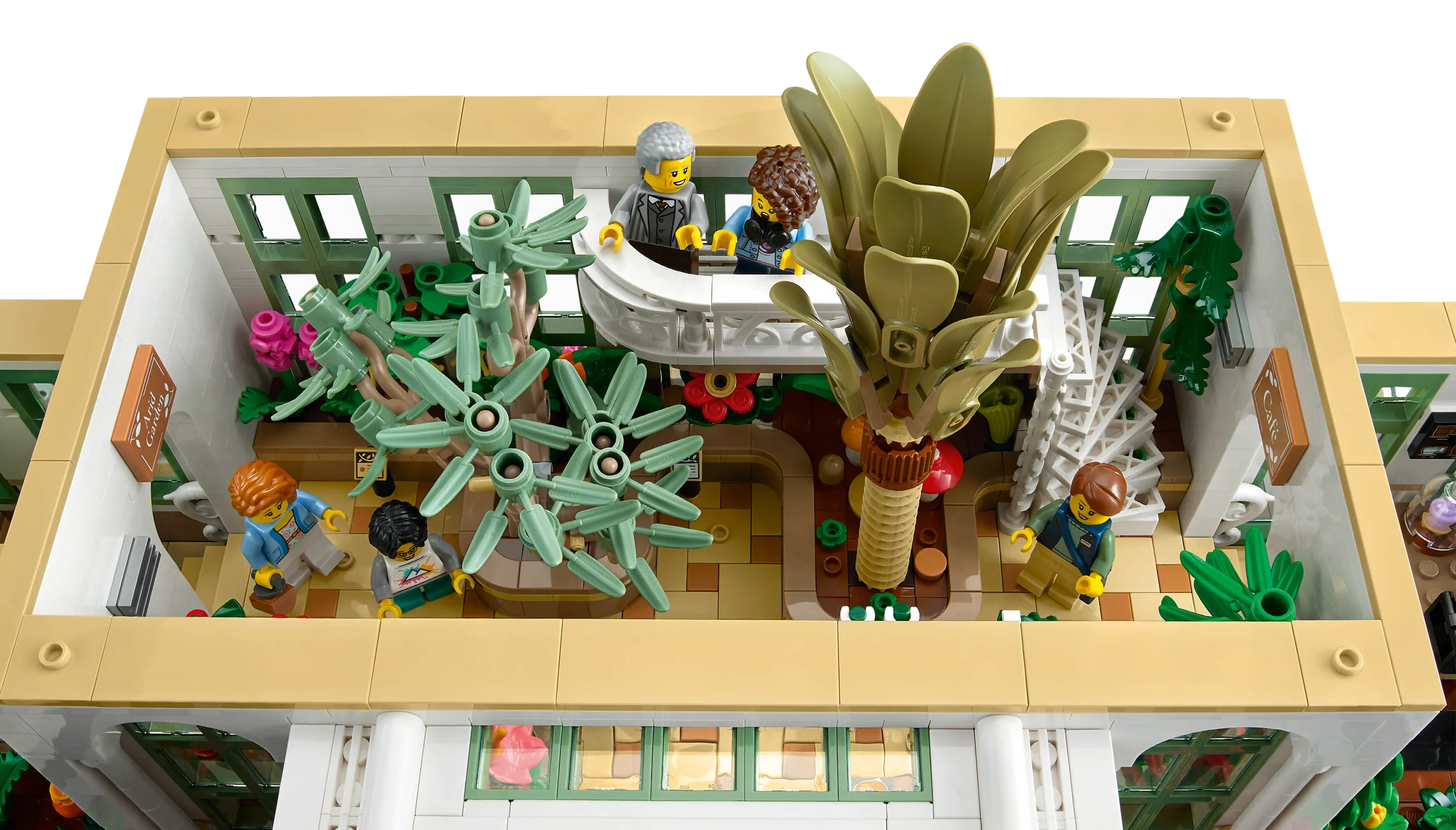 The Botanical Garden - Image 6