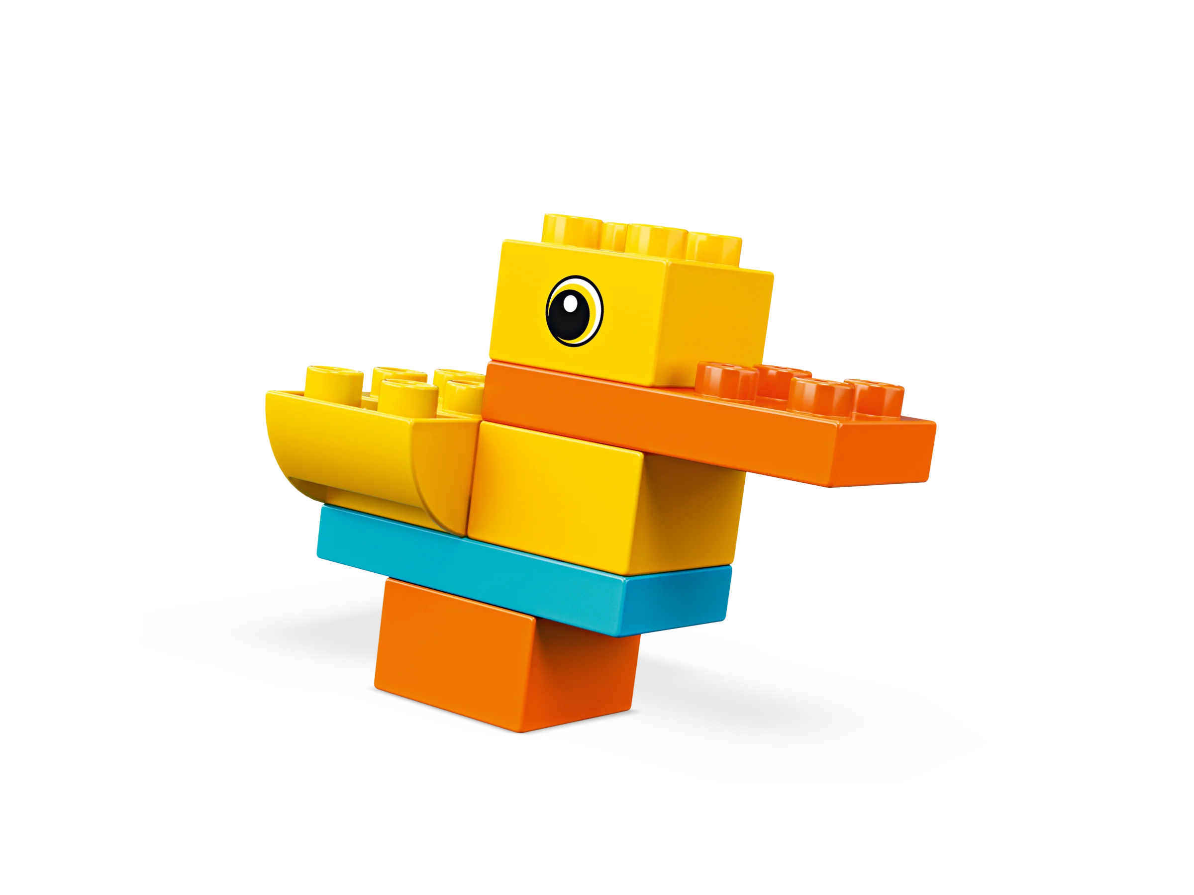 My First Duck - Image 3