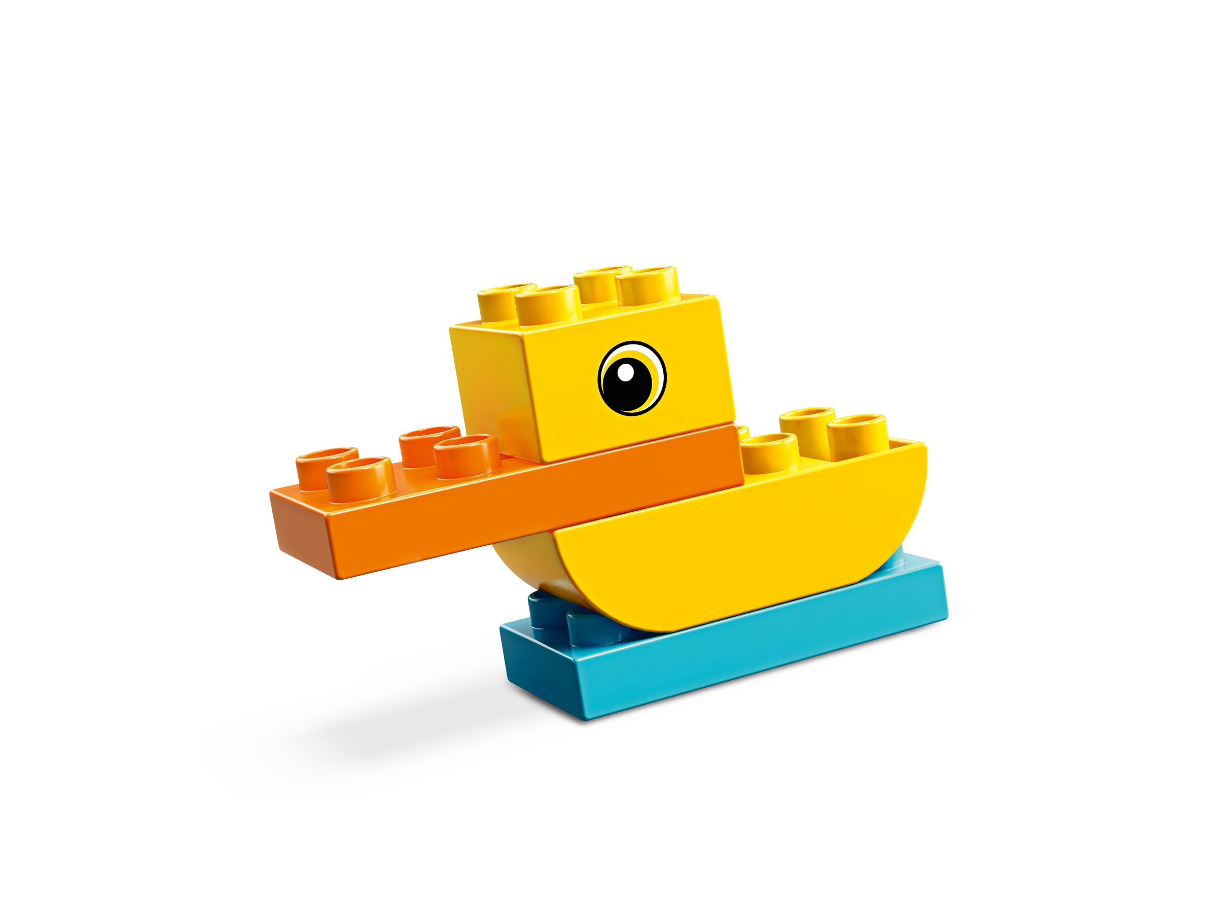 My First Duck - Image 5