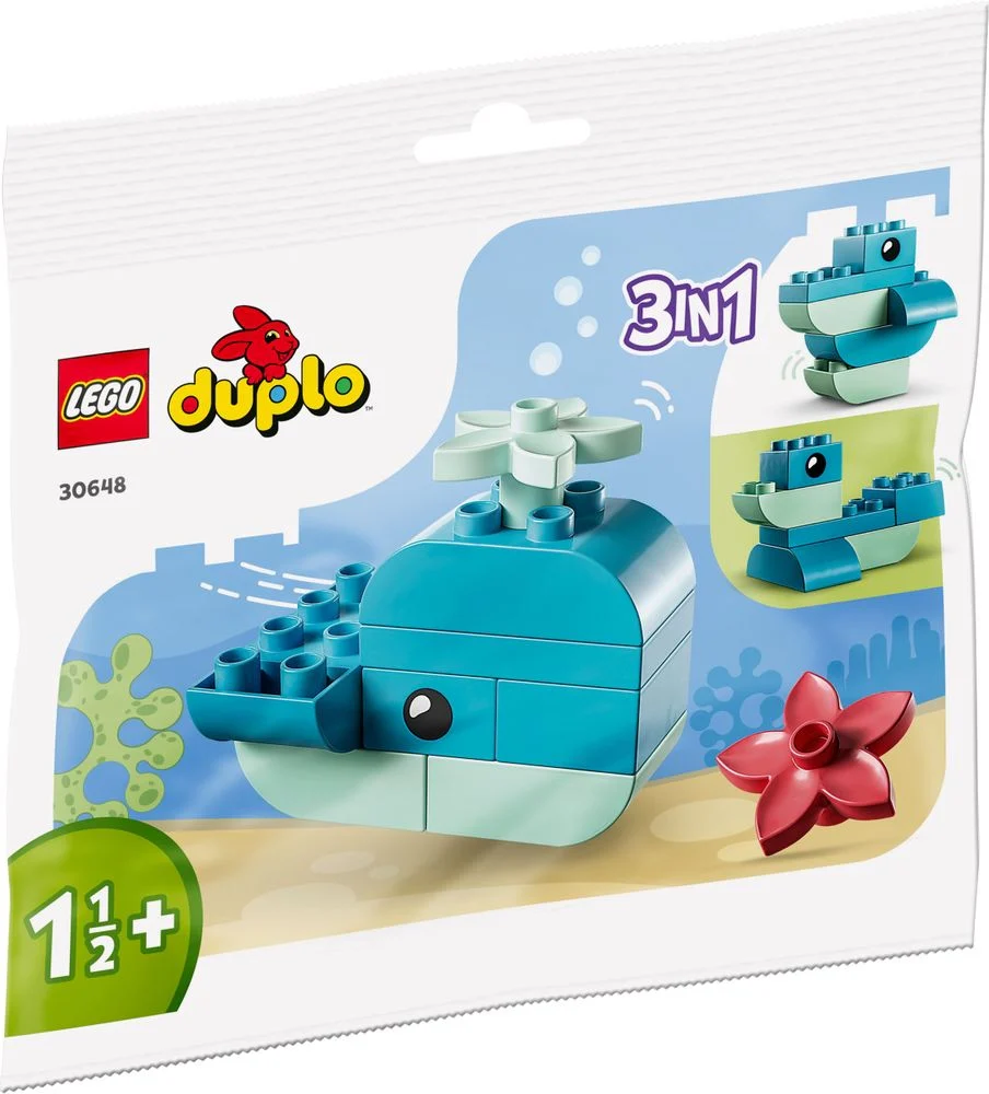 Whale - Image 2