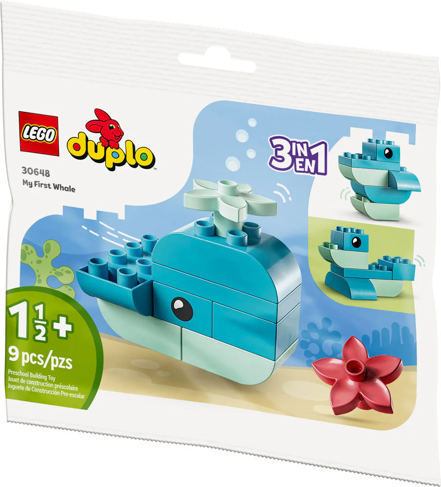 Whale - Image 4