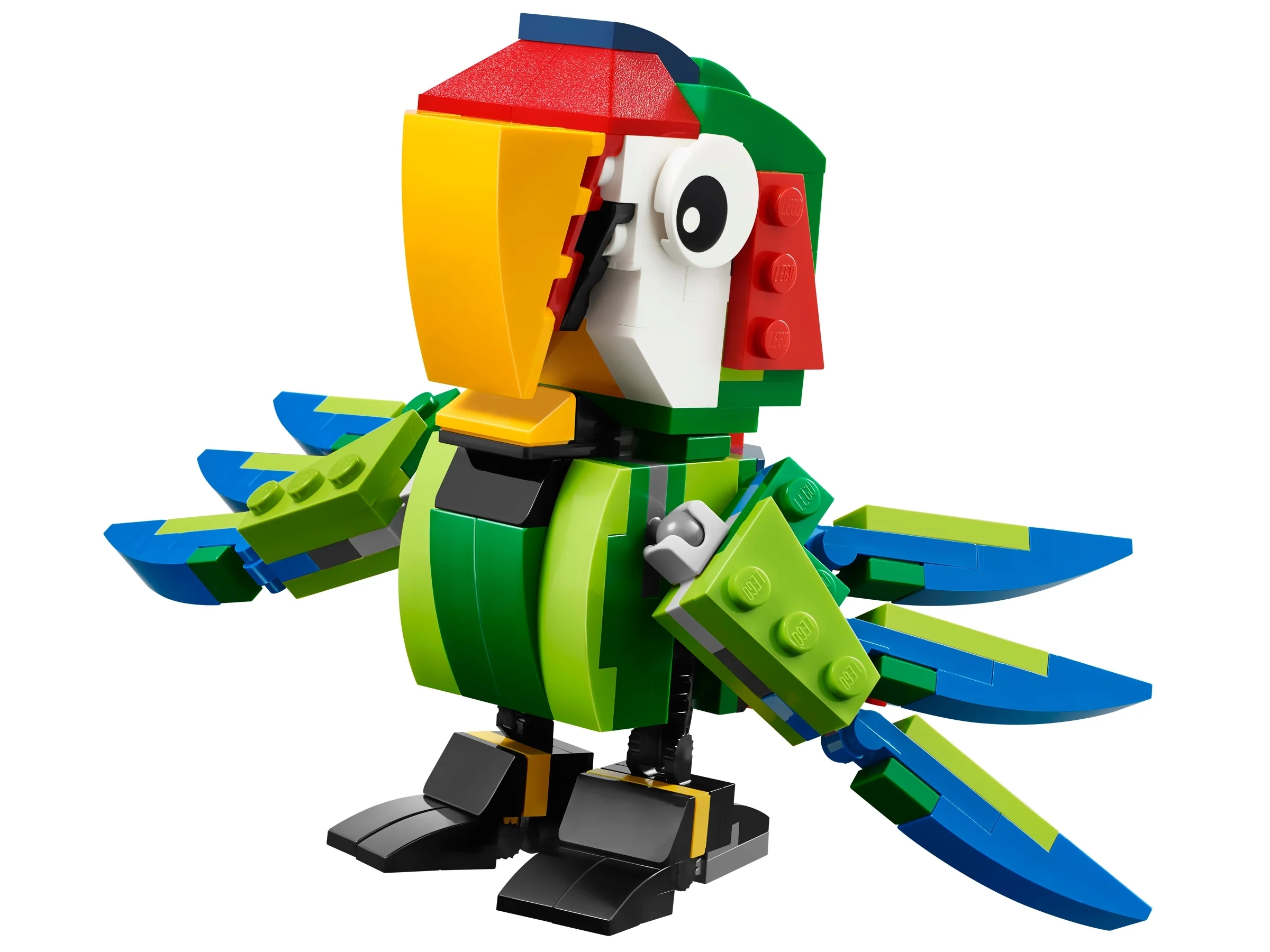 Rainforest Animals - Image 3