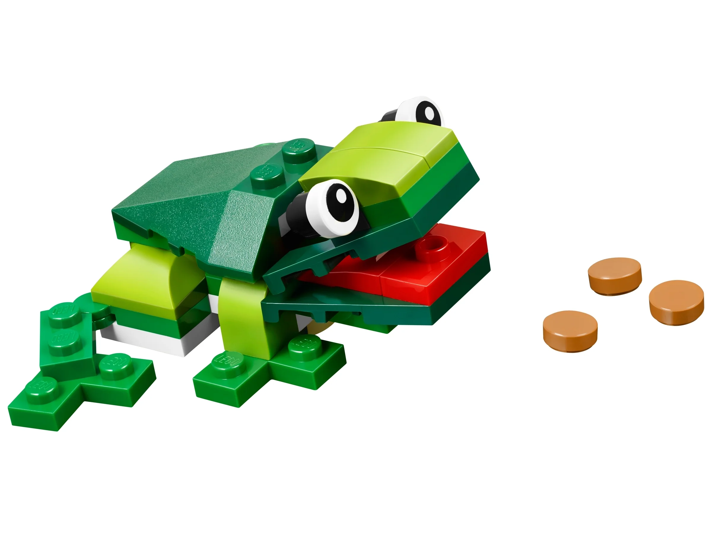 Rainforest Animals - Image 4