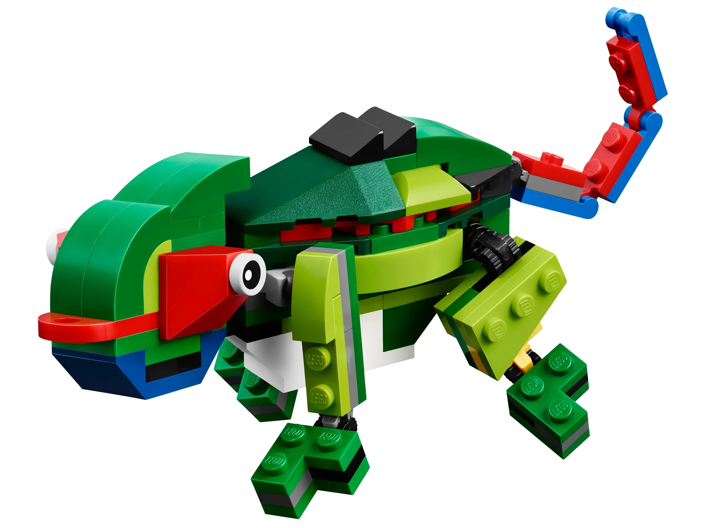 Rainforest Animals - Image 5