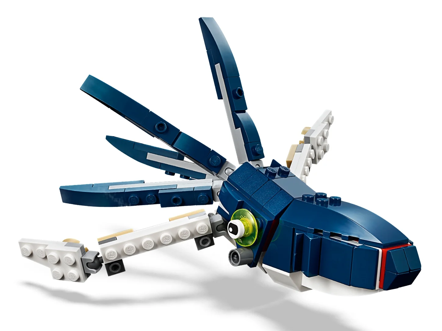 Deep Sea Creatures - Image 4