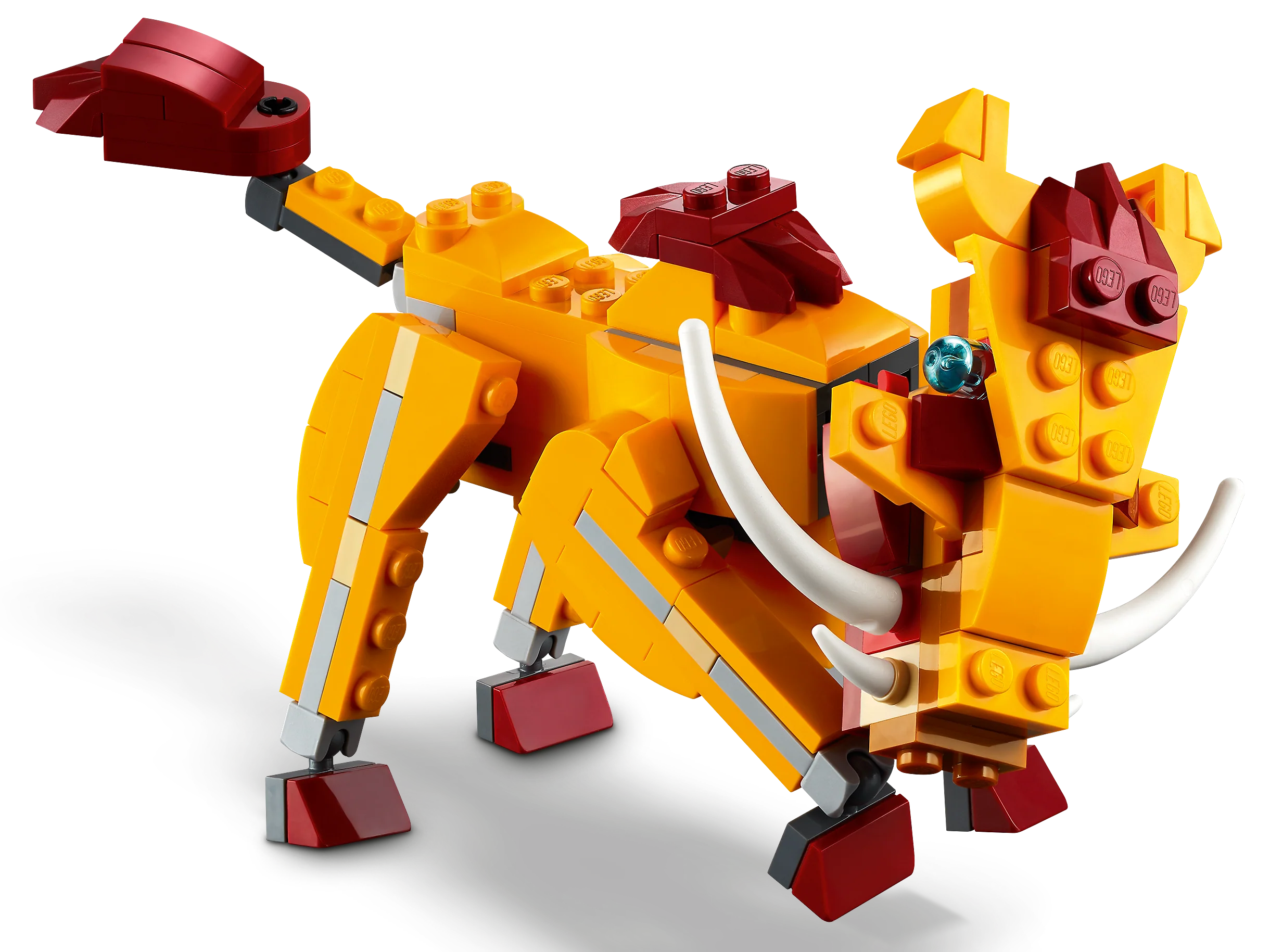 Wild Lion - Image 10
