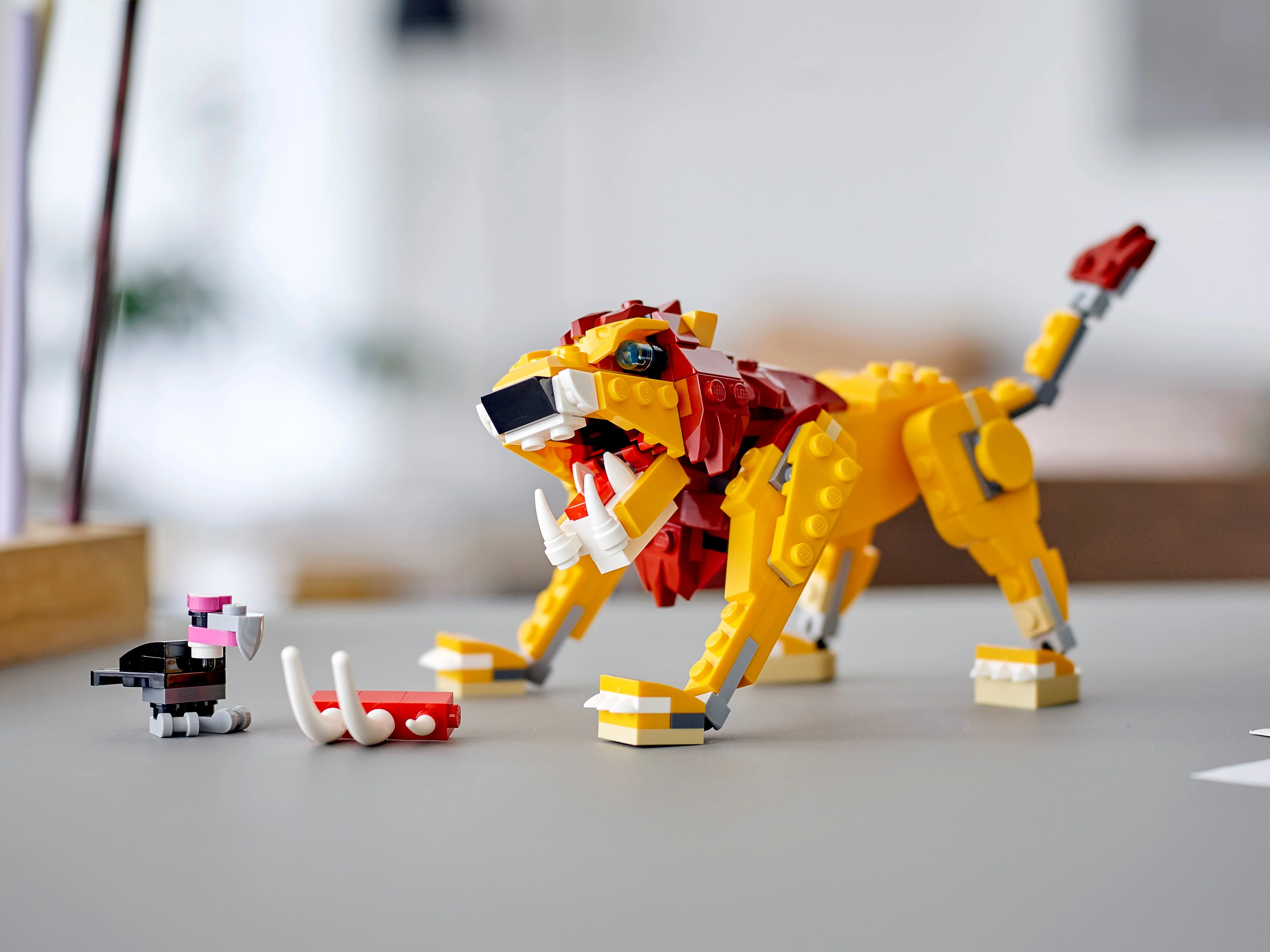 Wild Lion - Image 15