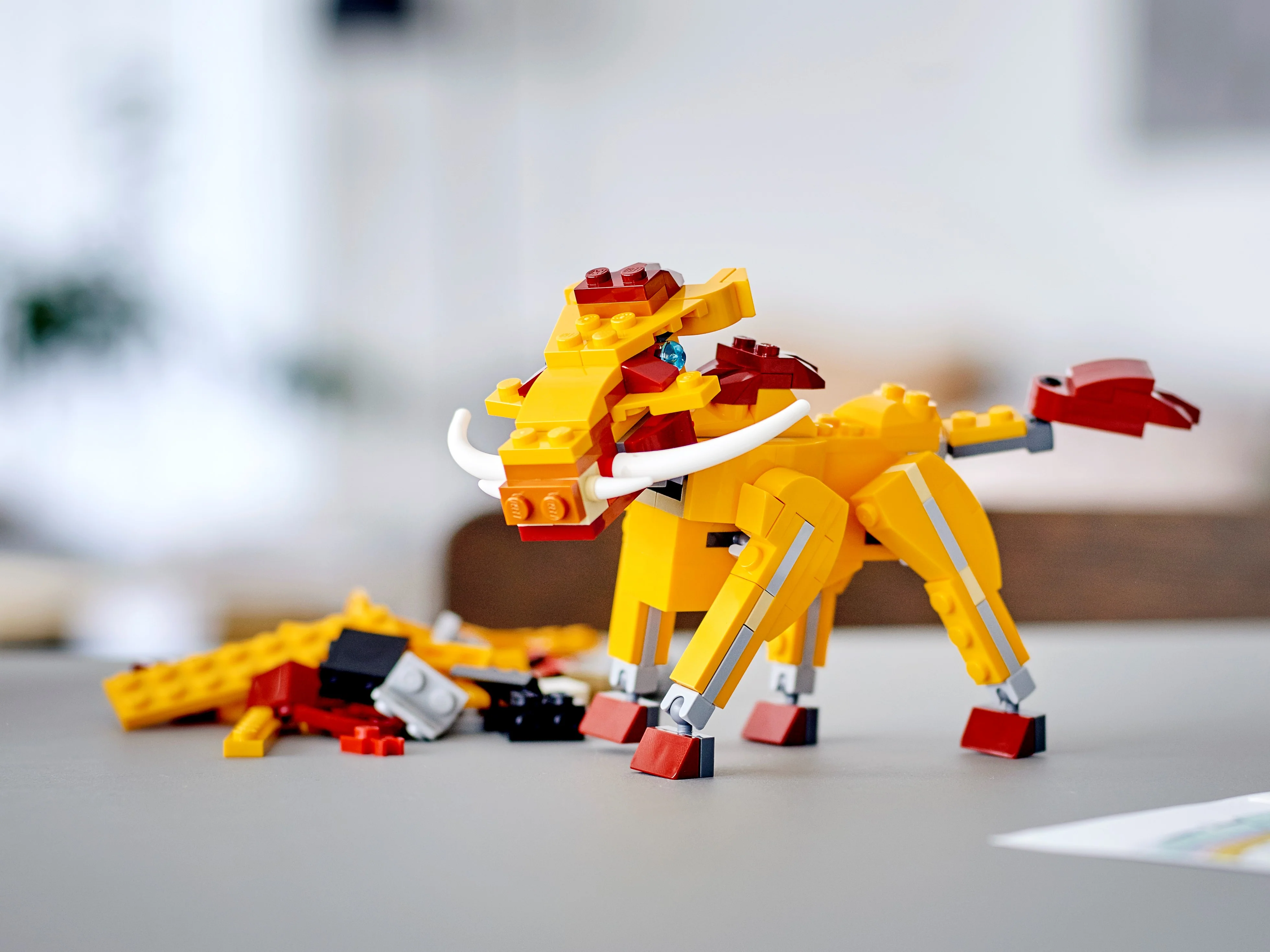 Wild Lion - Image 17