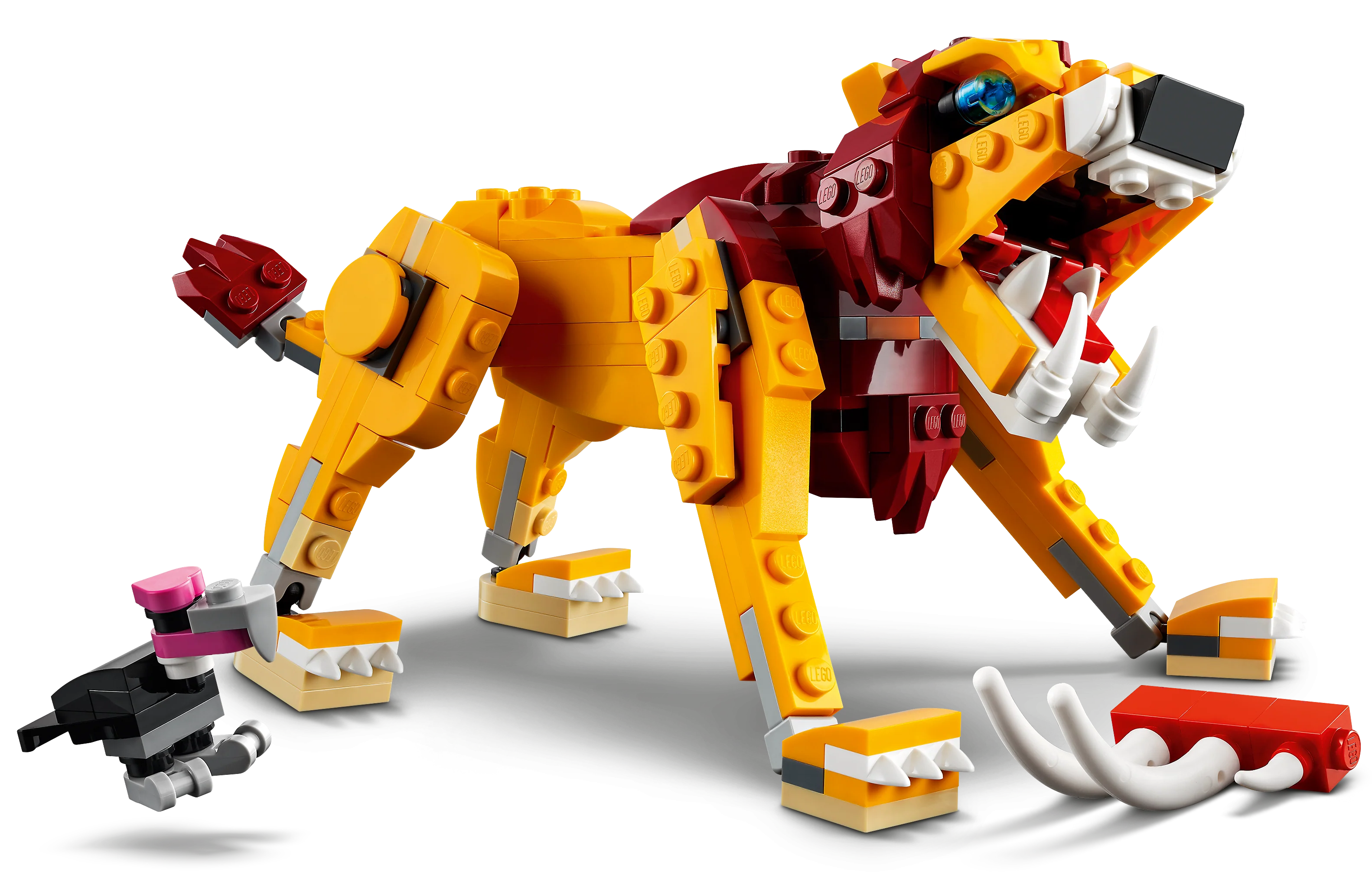 Wild Lion - Image 3