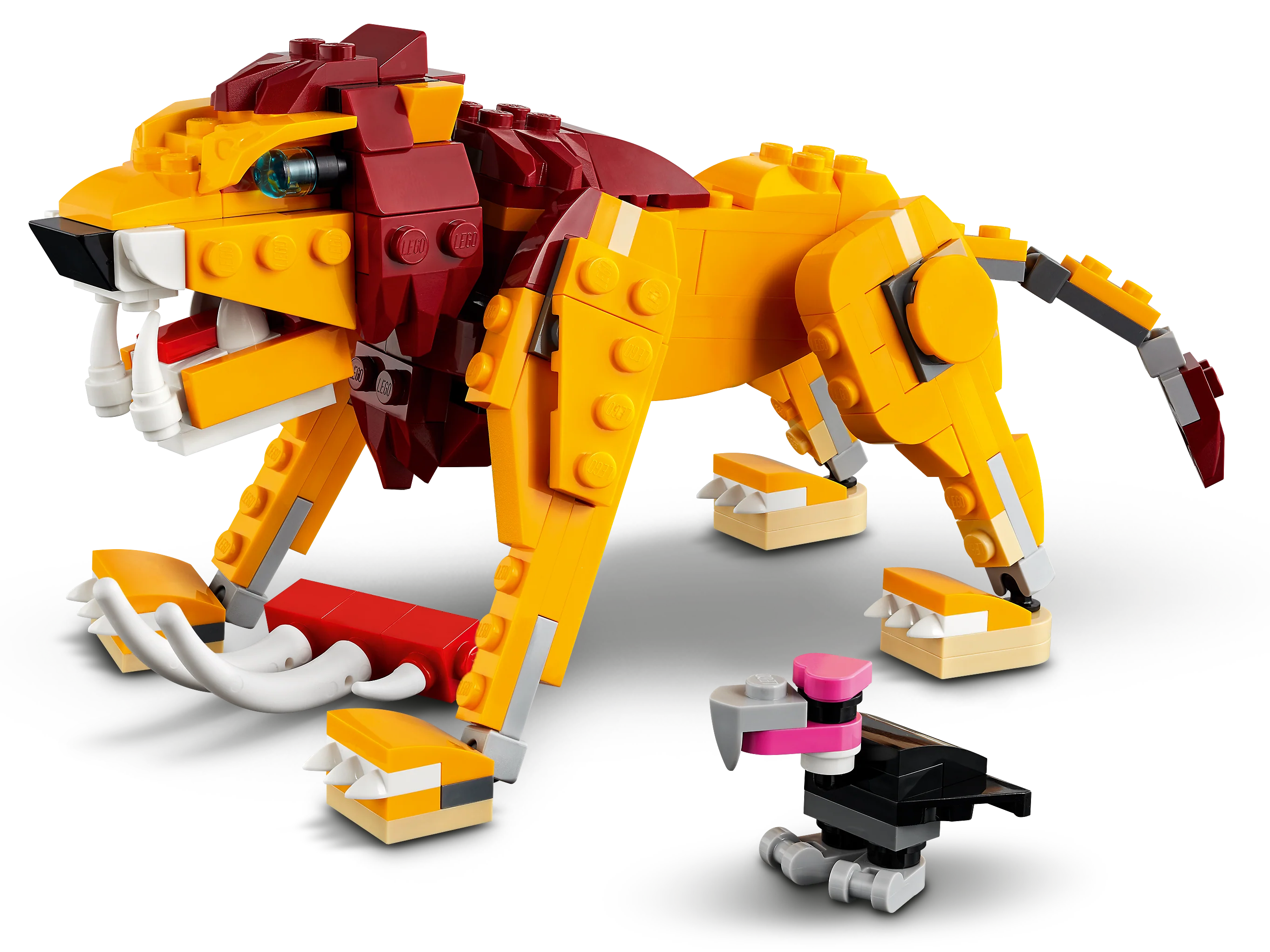 Wild Lion - Image 6