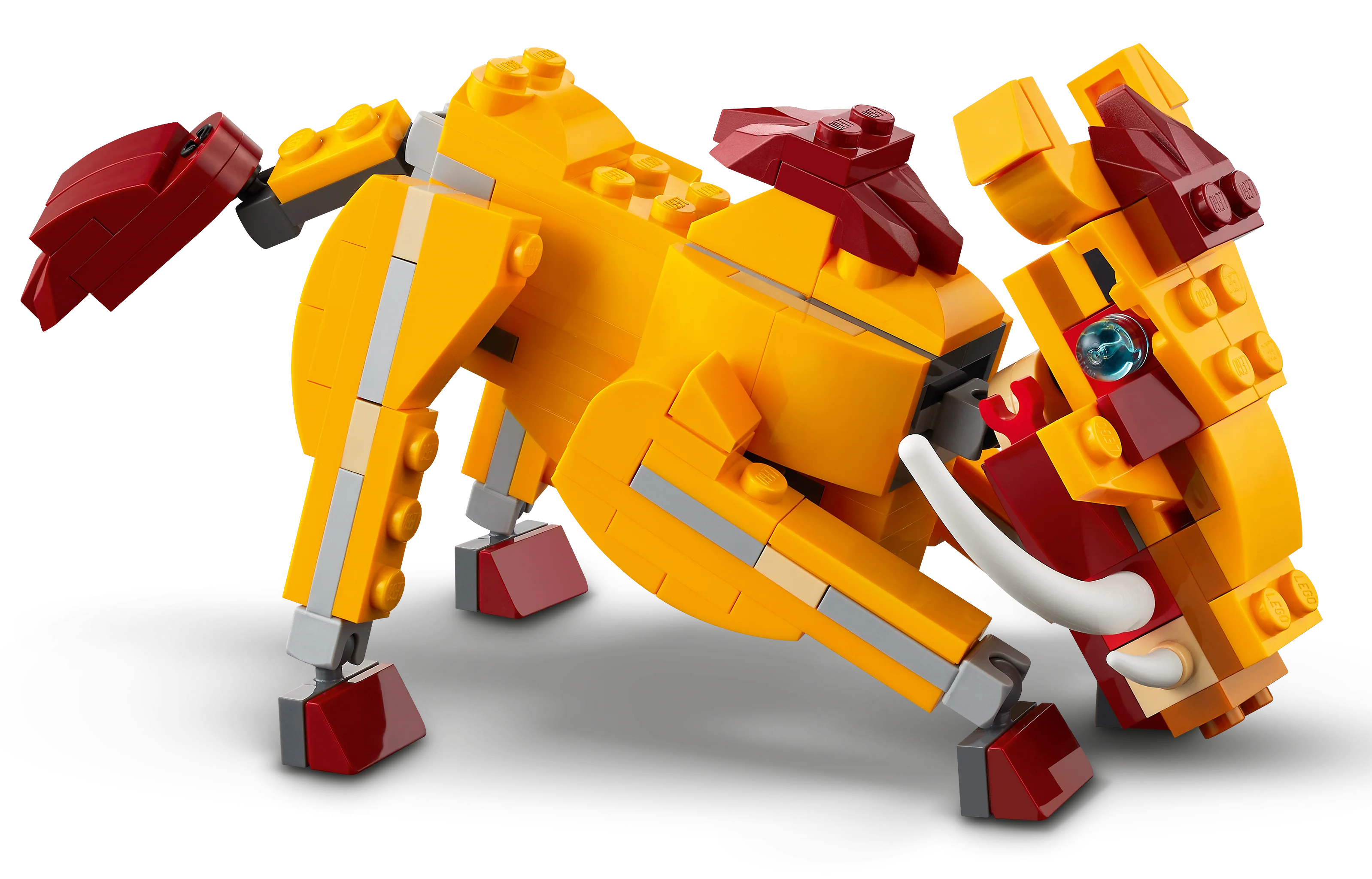 Wild Lion - Image 8