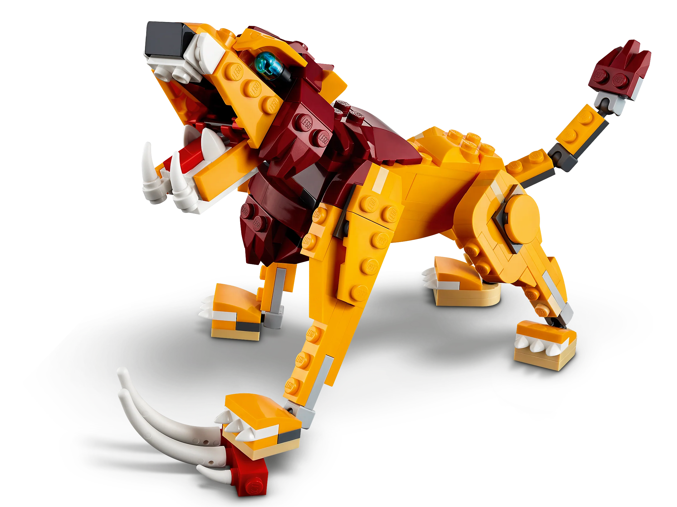 Wild Lion - Image 9