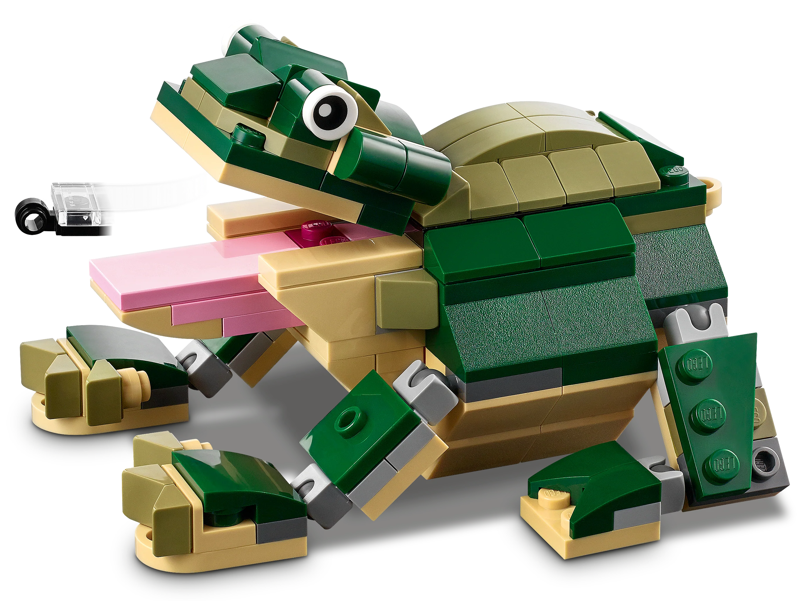 Crocodile - Image 10