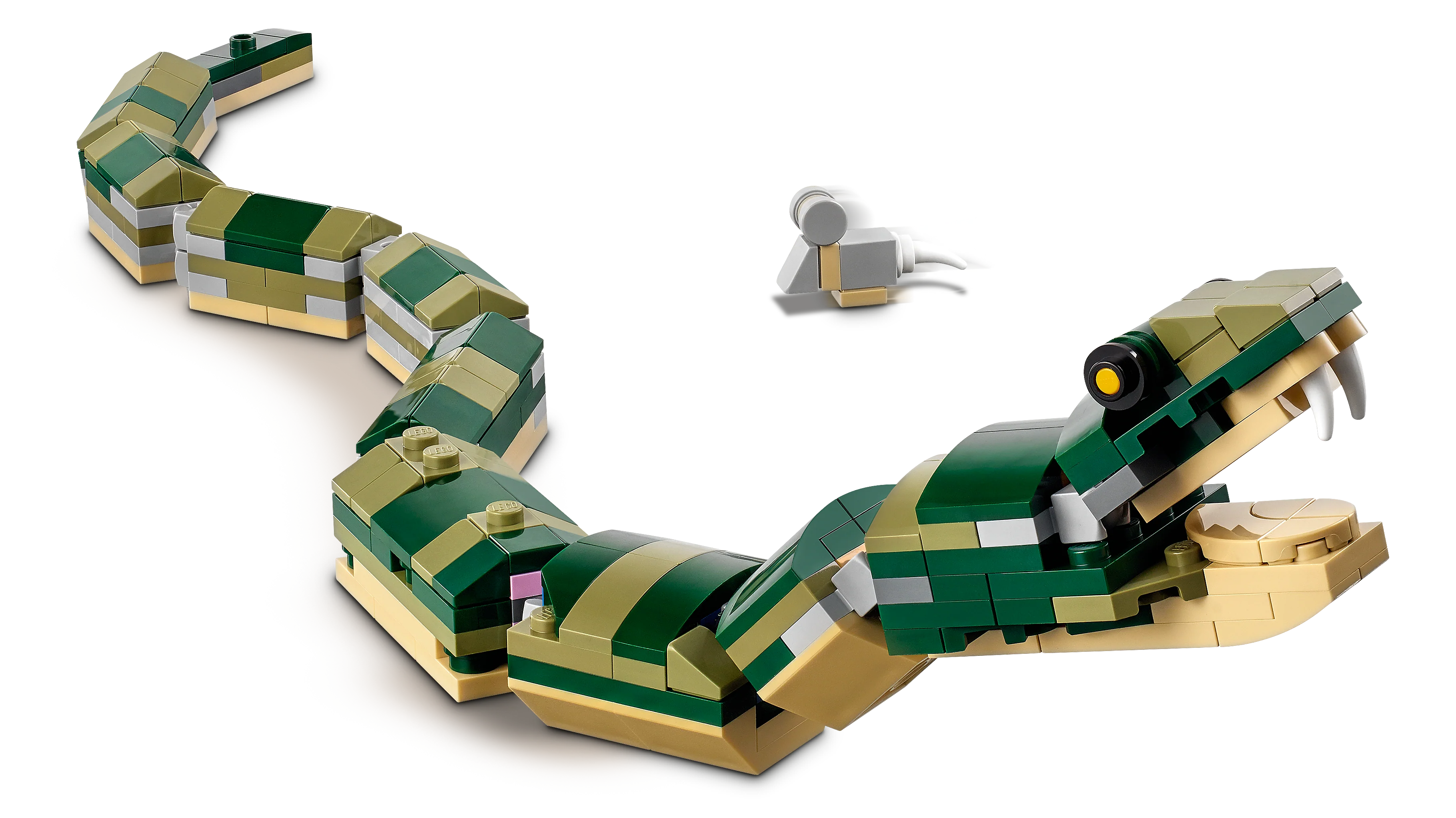 Crocodile - Image 11
