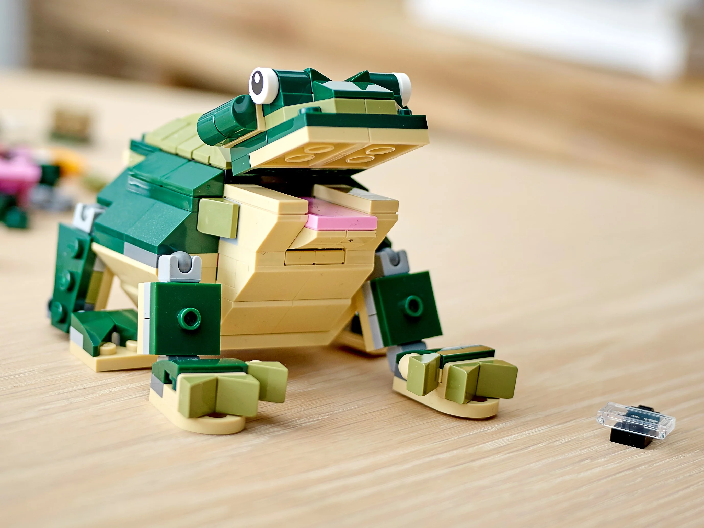 Crocodile - Image 17