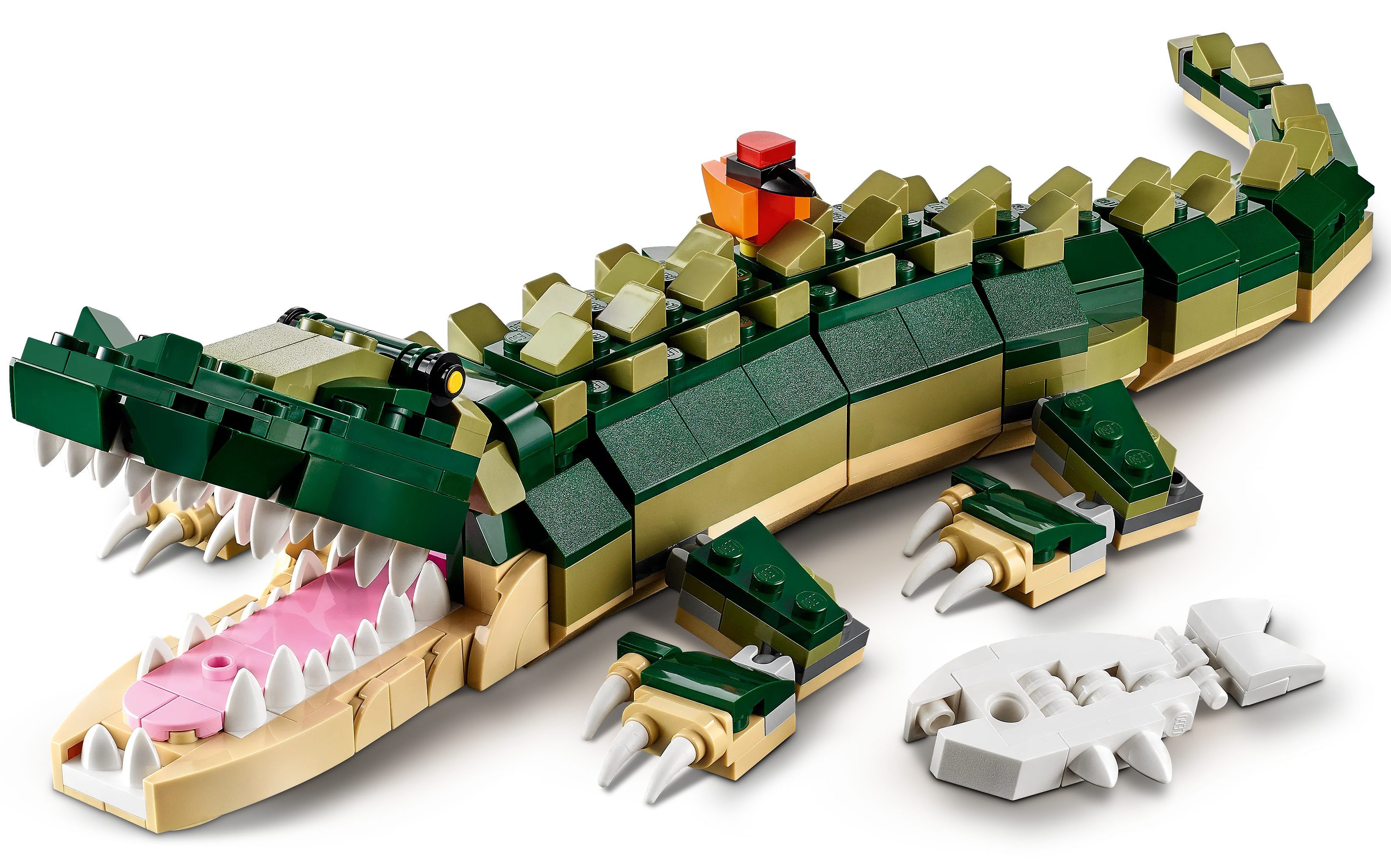 Crocodile - Image 3
