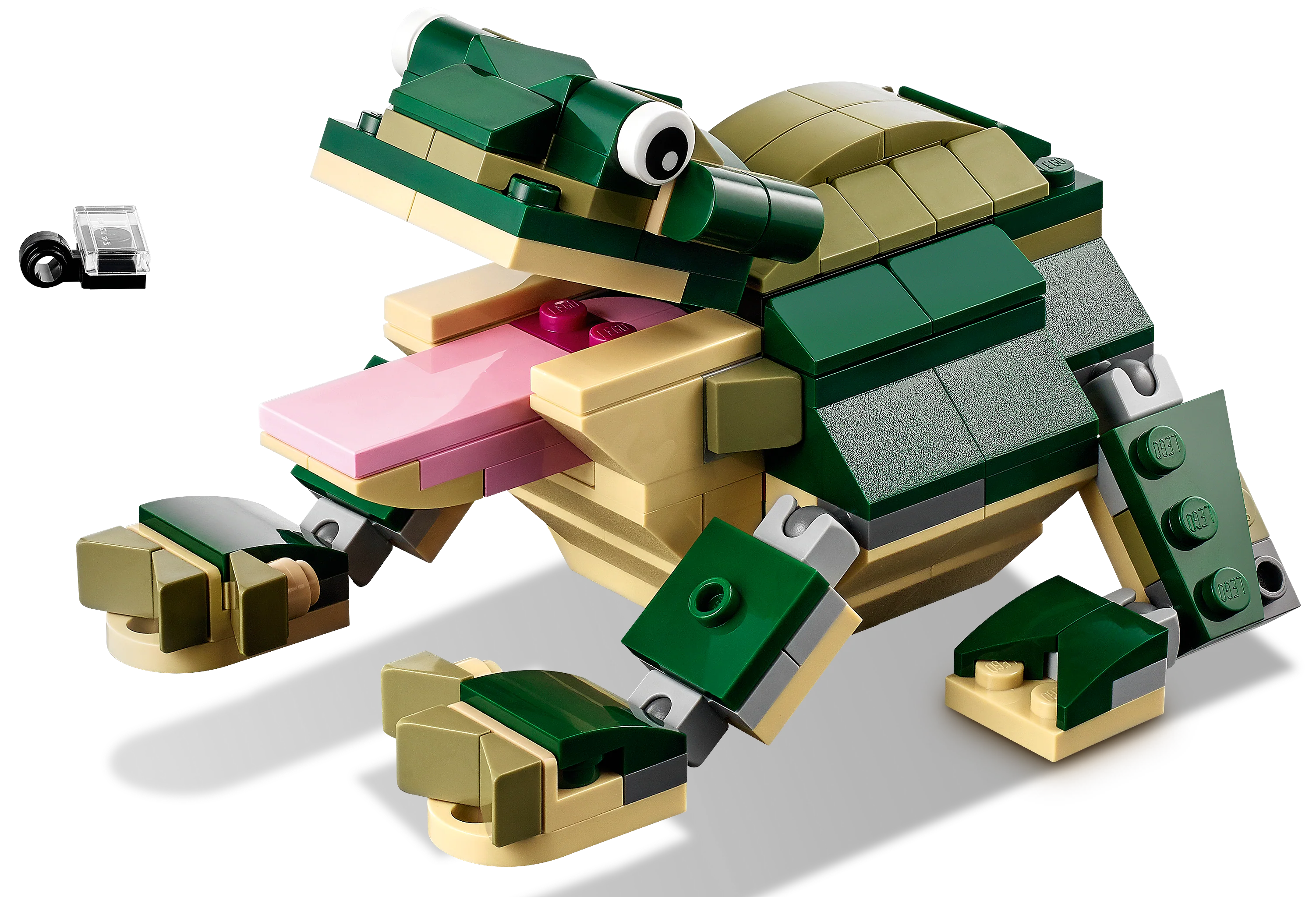 Crocodile - Image 4